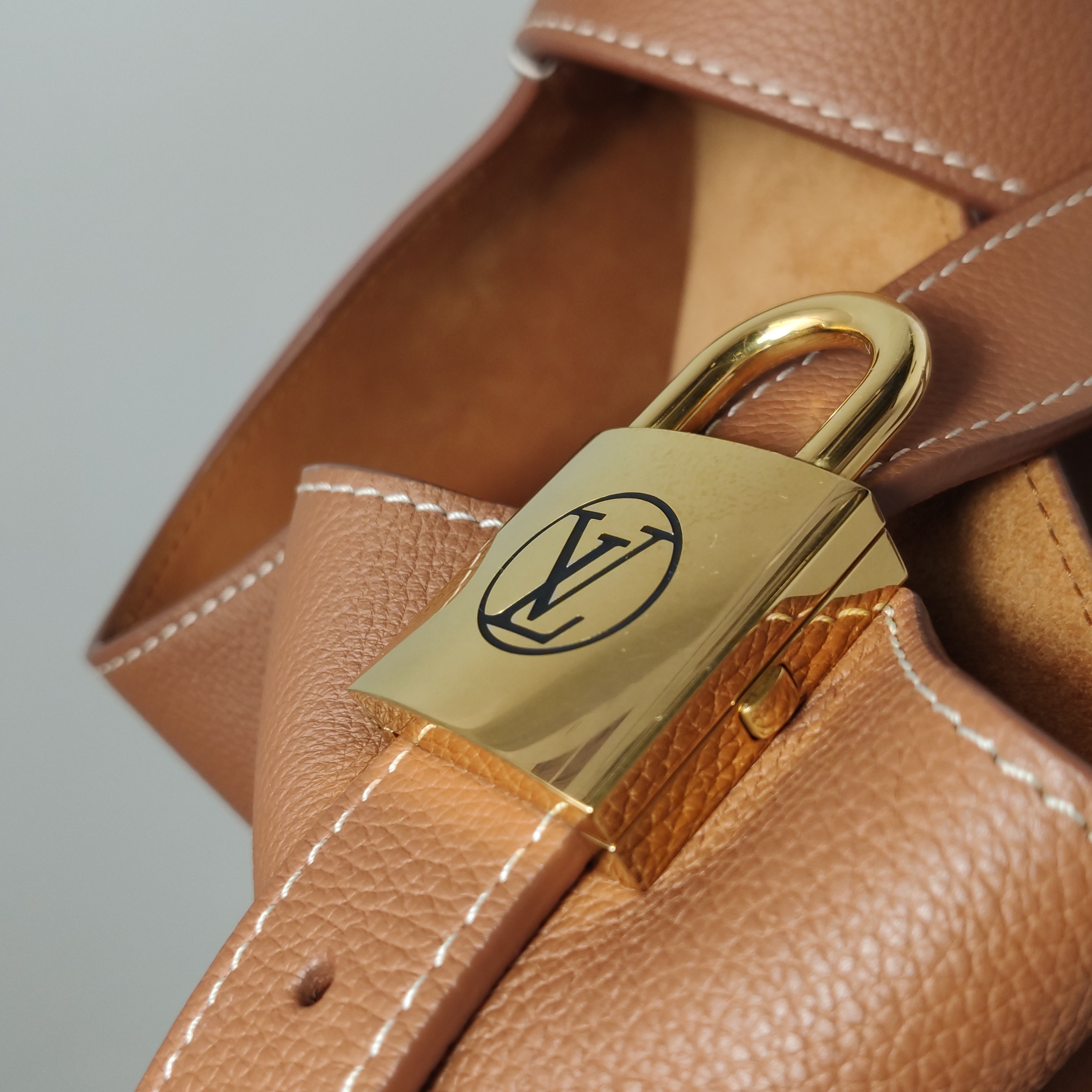 Louis Vuitton(LV) Low Key Hobo Calfskin PM — photo 13 of 25