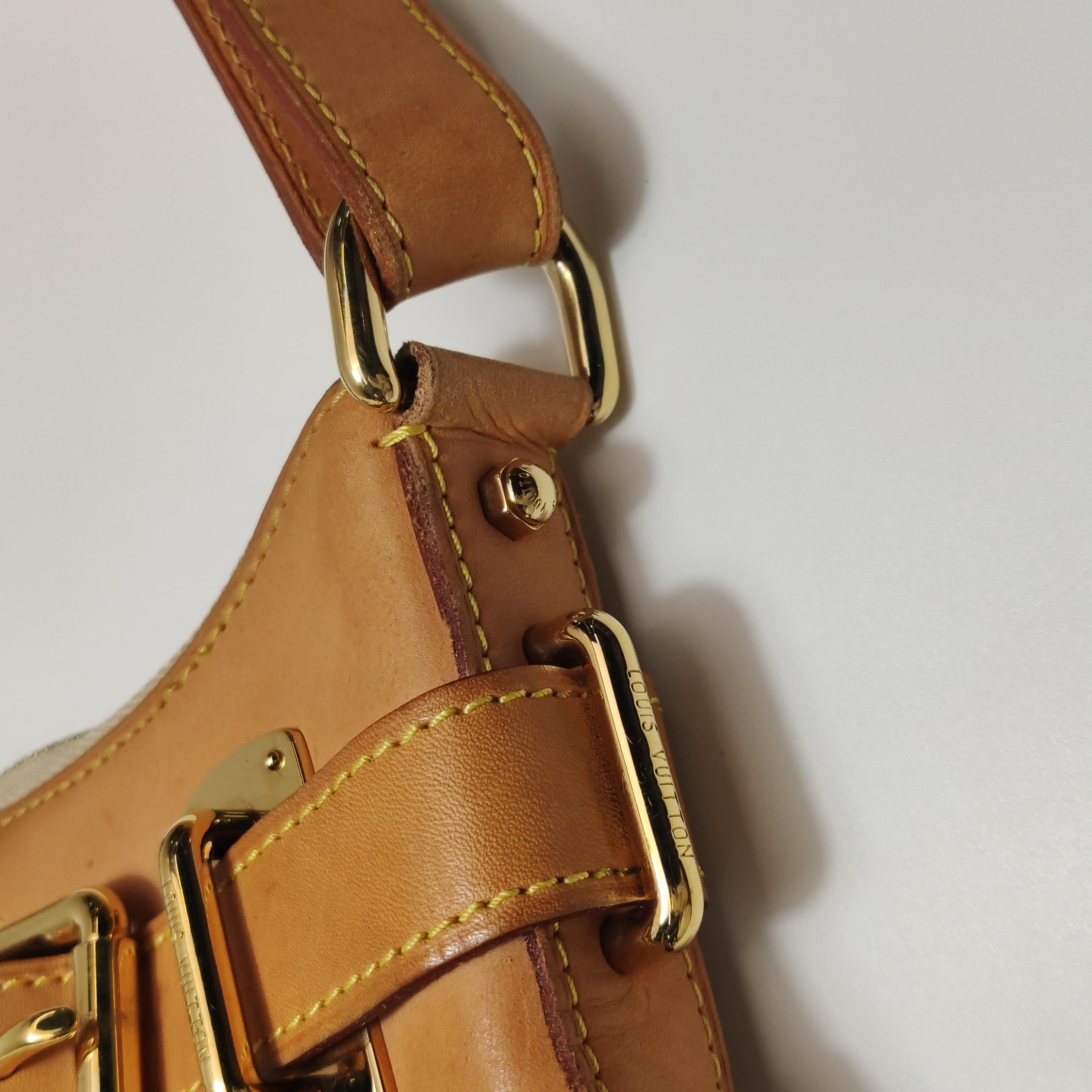 Louis Vuitton(LV) Greta Handbag Monogram Multicolor