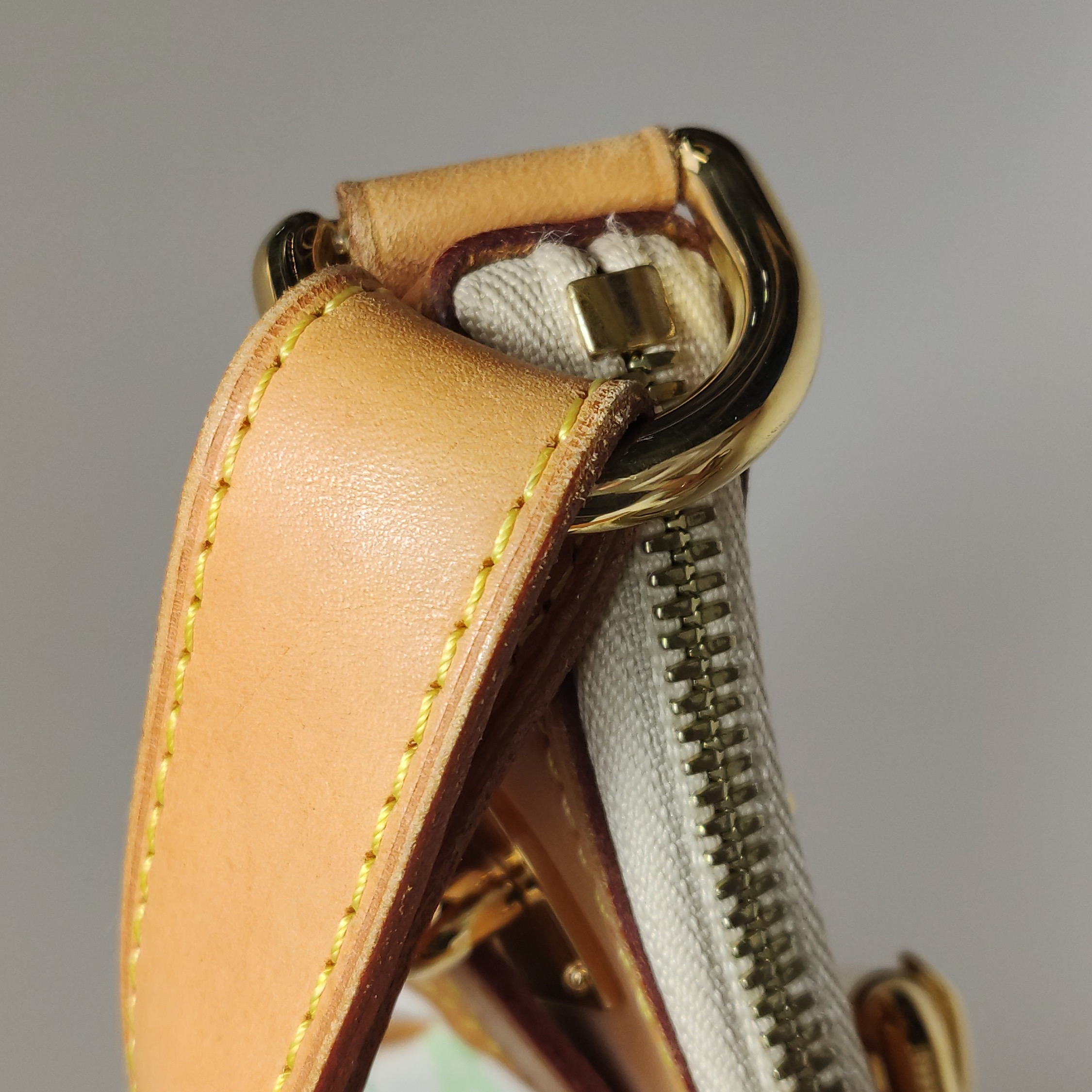 Louis Vuitton(LV) Greta Handbag Monogram Multicolor