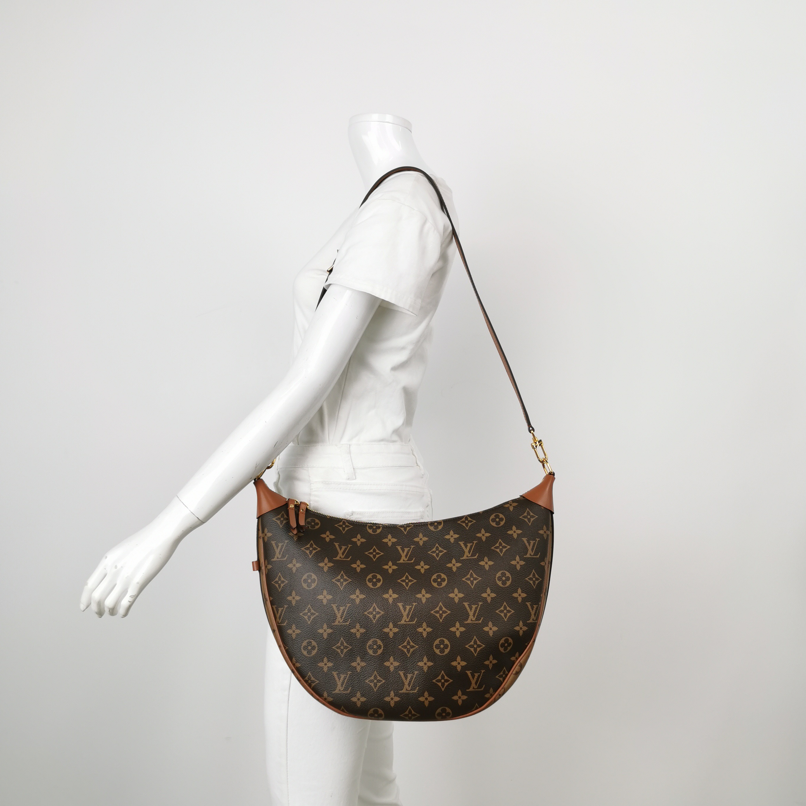 Louis Vuitton(LV) Loop Hobo Reverse Monogram Canvas — alternate view