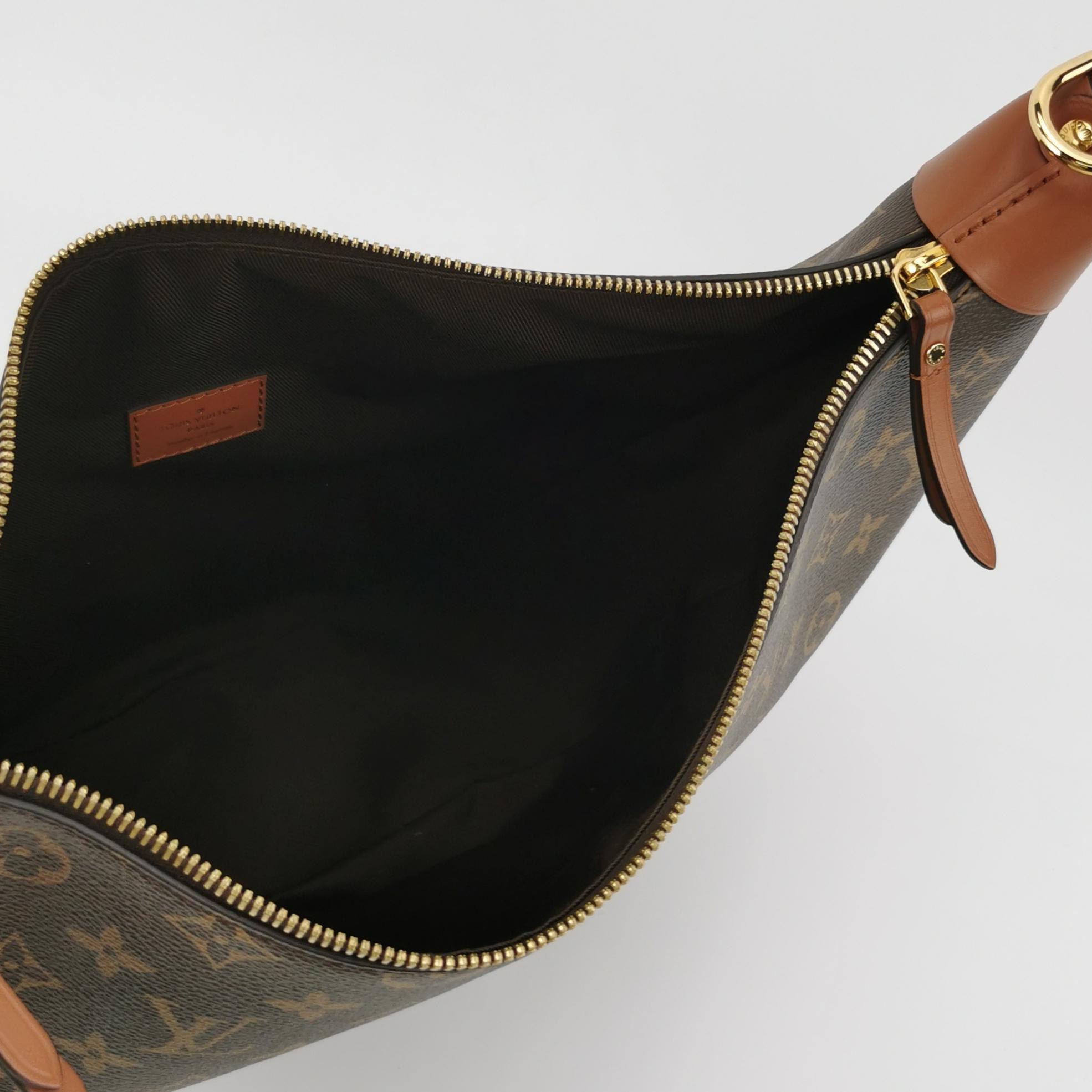 Louis Vuitton(LV) Loop Hobo Reverse Monogram Canvas — photo 10 of 13