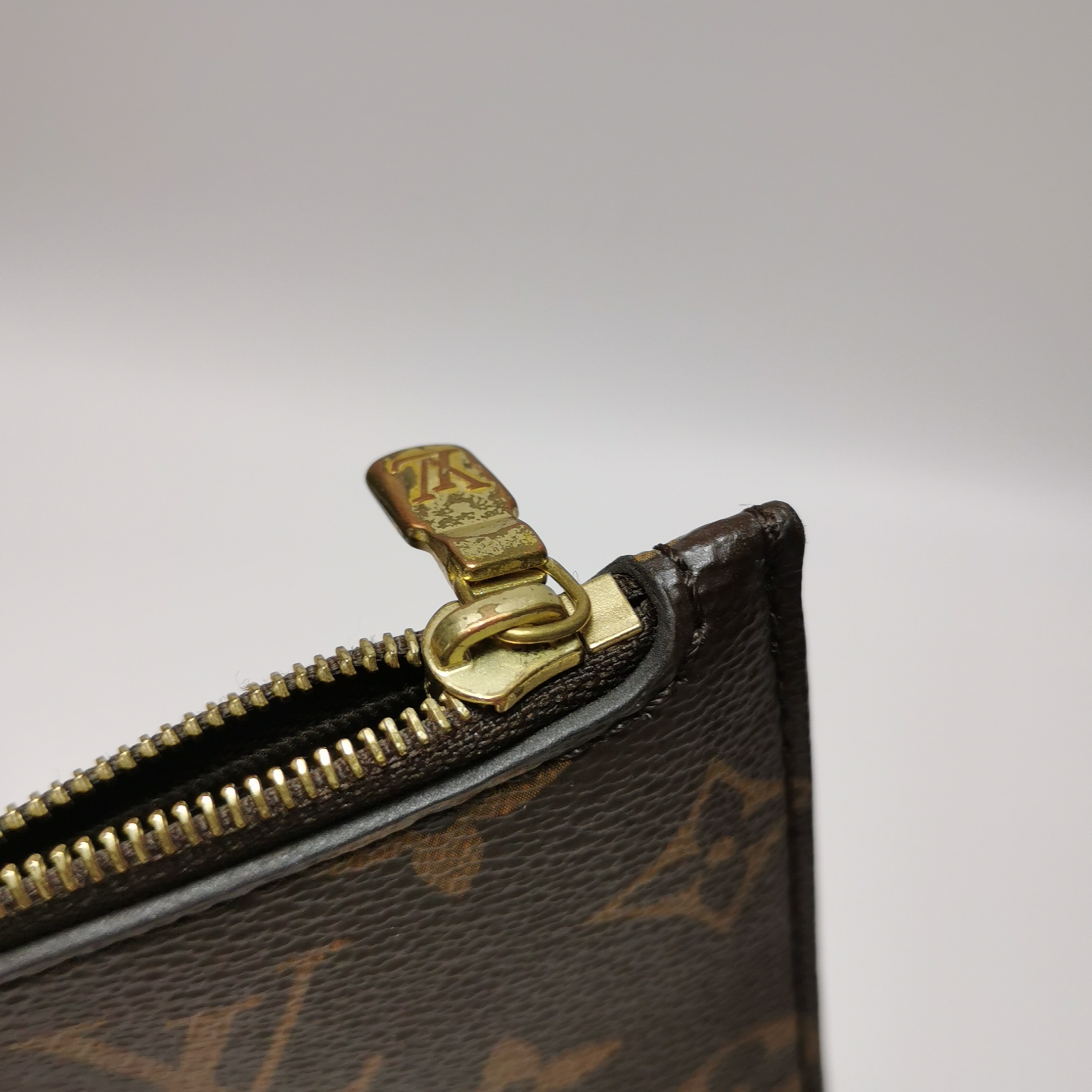 Louis Vuitton(LV) Loop Hobo Reverse Monogram Canvas — photo 12 of 13