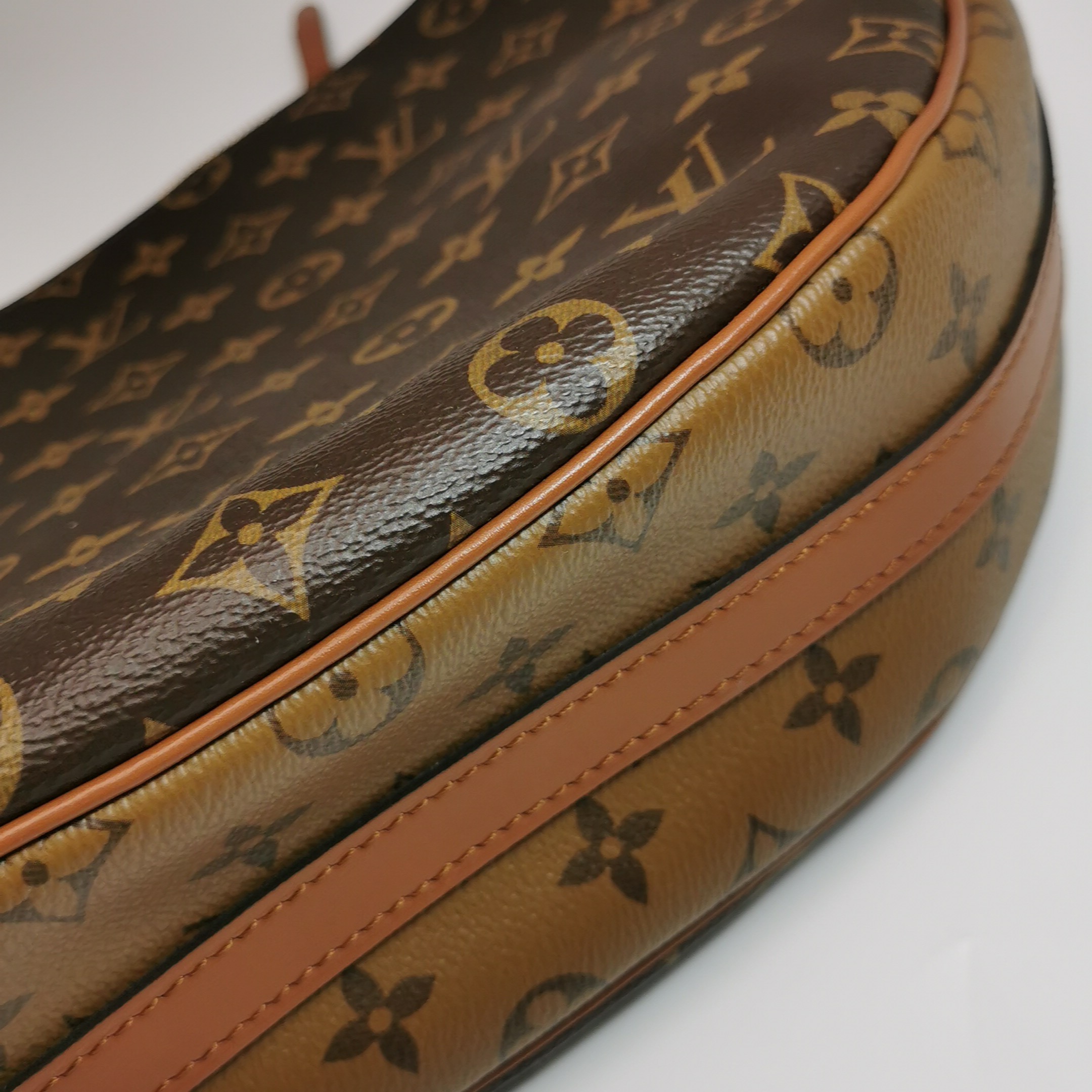 Louis Vuitton(LV) Loop Hobo Reverse Monogram Canvas — photo 8 of 13