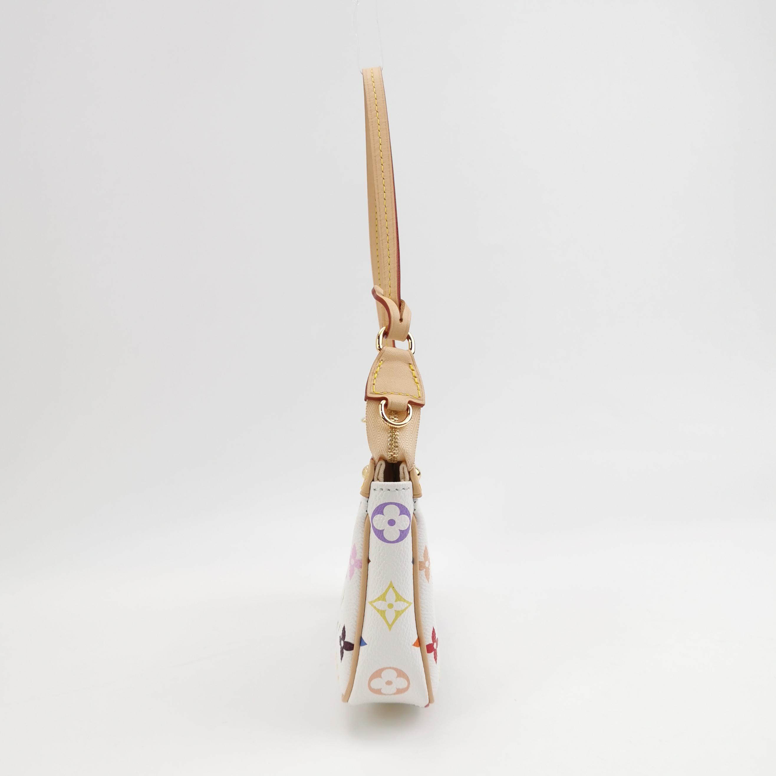 Louis Vuitton(LV) x Takashi Murakami Chain Pochette Accessoires NM Monogram Multicolor — photo 5 of 11