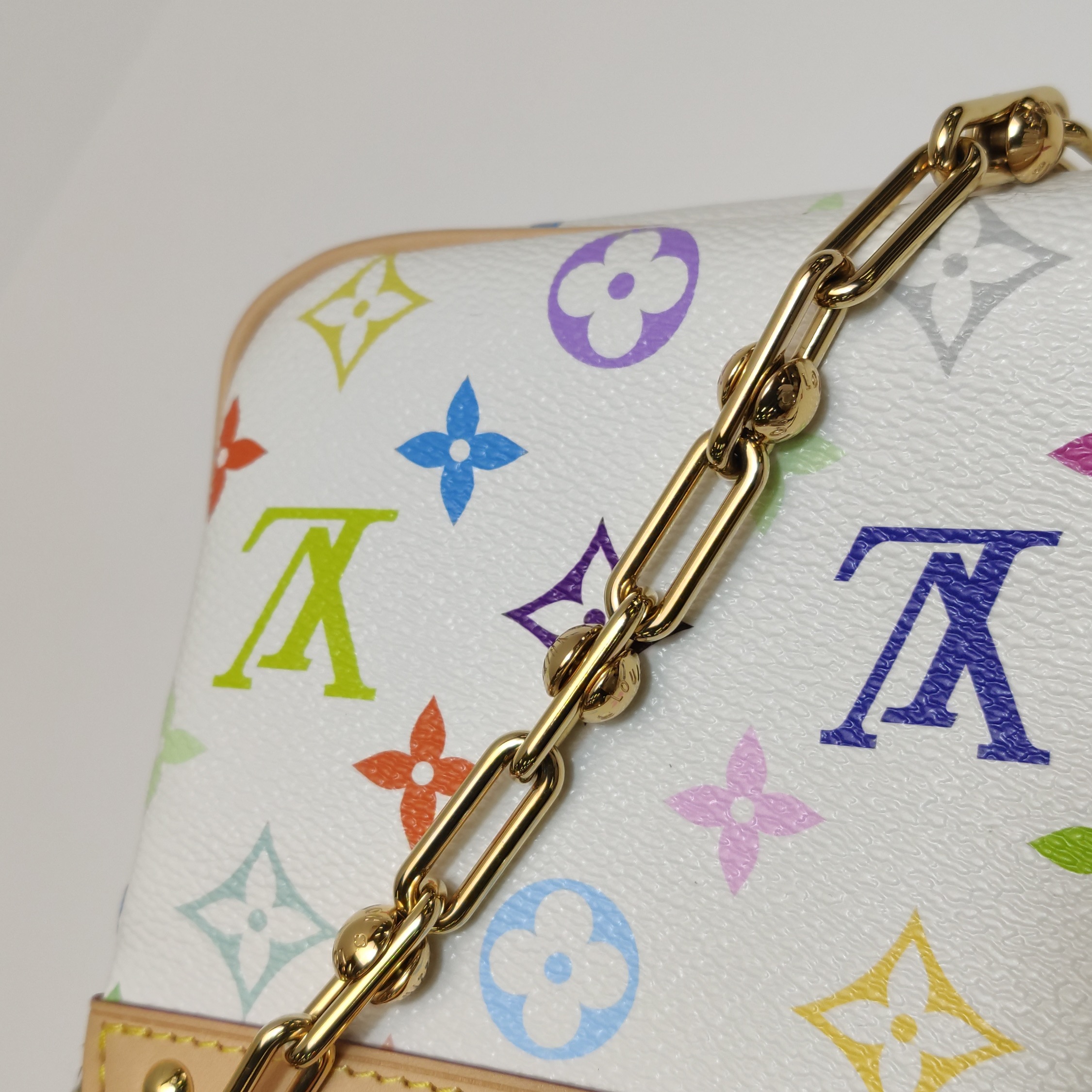 Louis Vuitton(LV) x Takashi Murakami Chain Pochette Accessoires NM Monogram Multicolor — photo 11 of 11