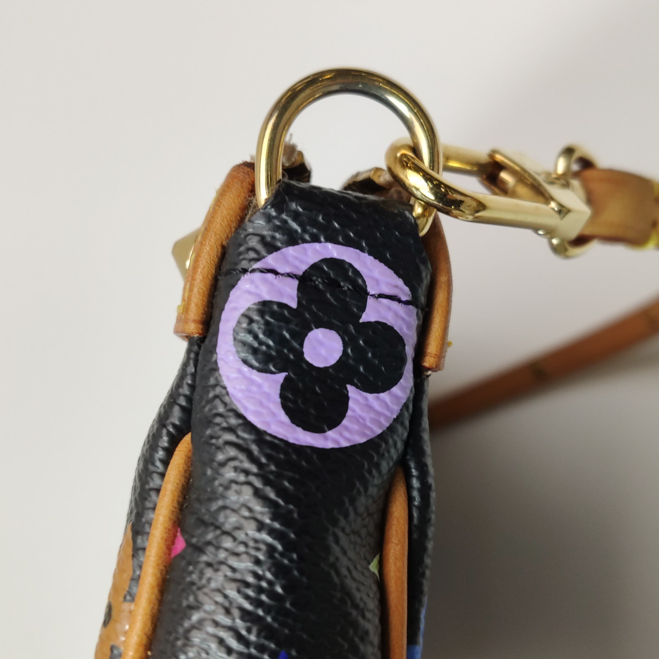 Louis Vuitton(LV) Pochette Accessoires Monogram Multicolor — photo 11 of 15