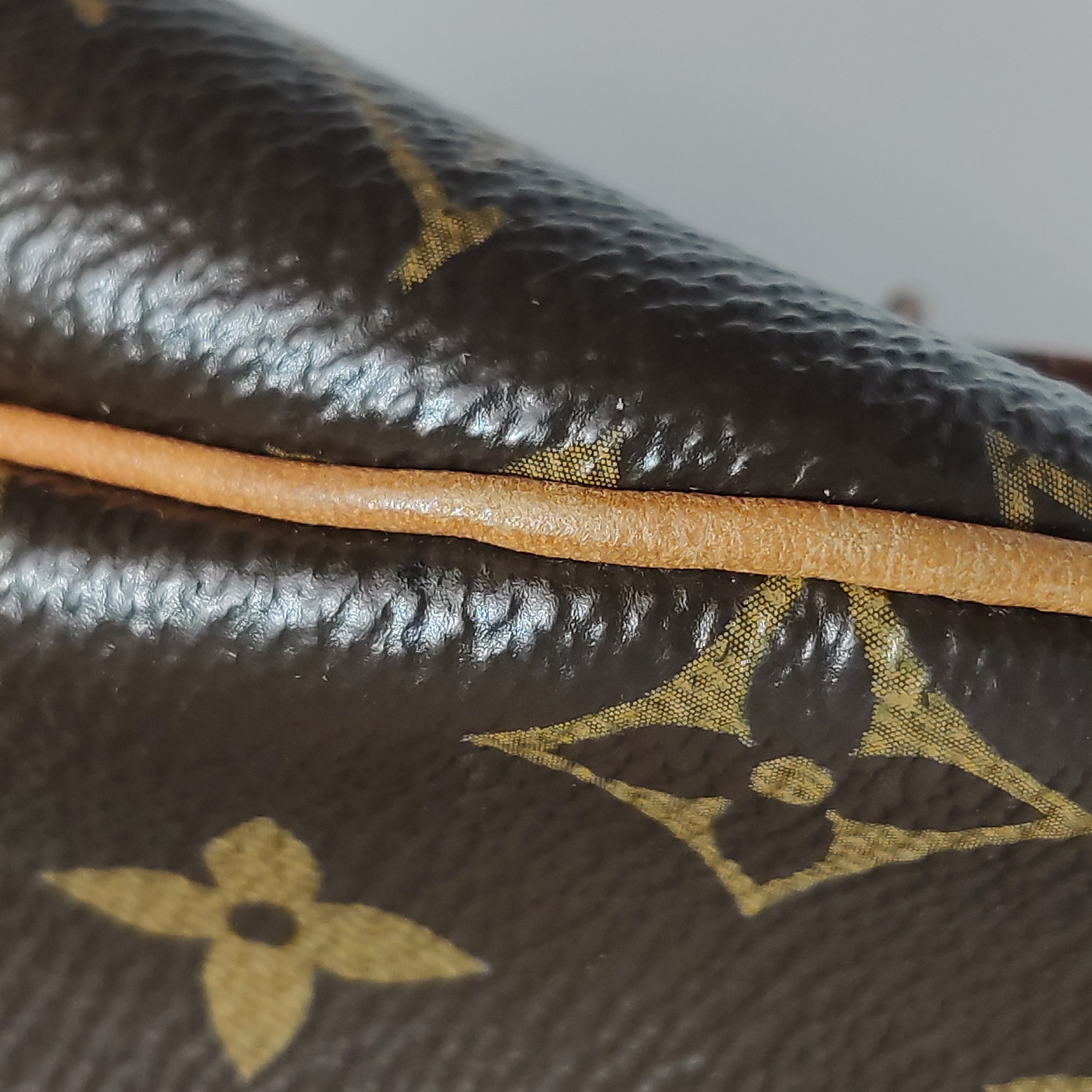 Louis Vuitton(LV) Speedy Handbag Monogram Canvas 25 — photo 13 of 15