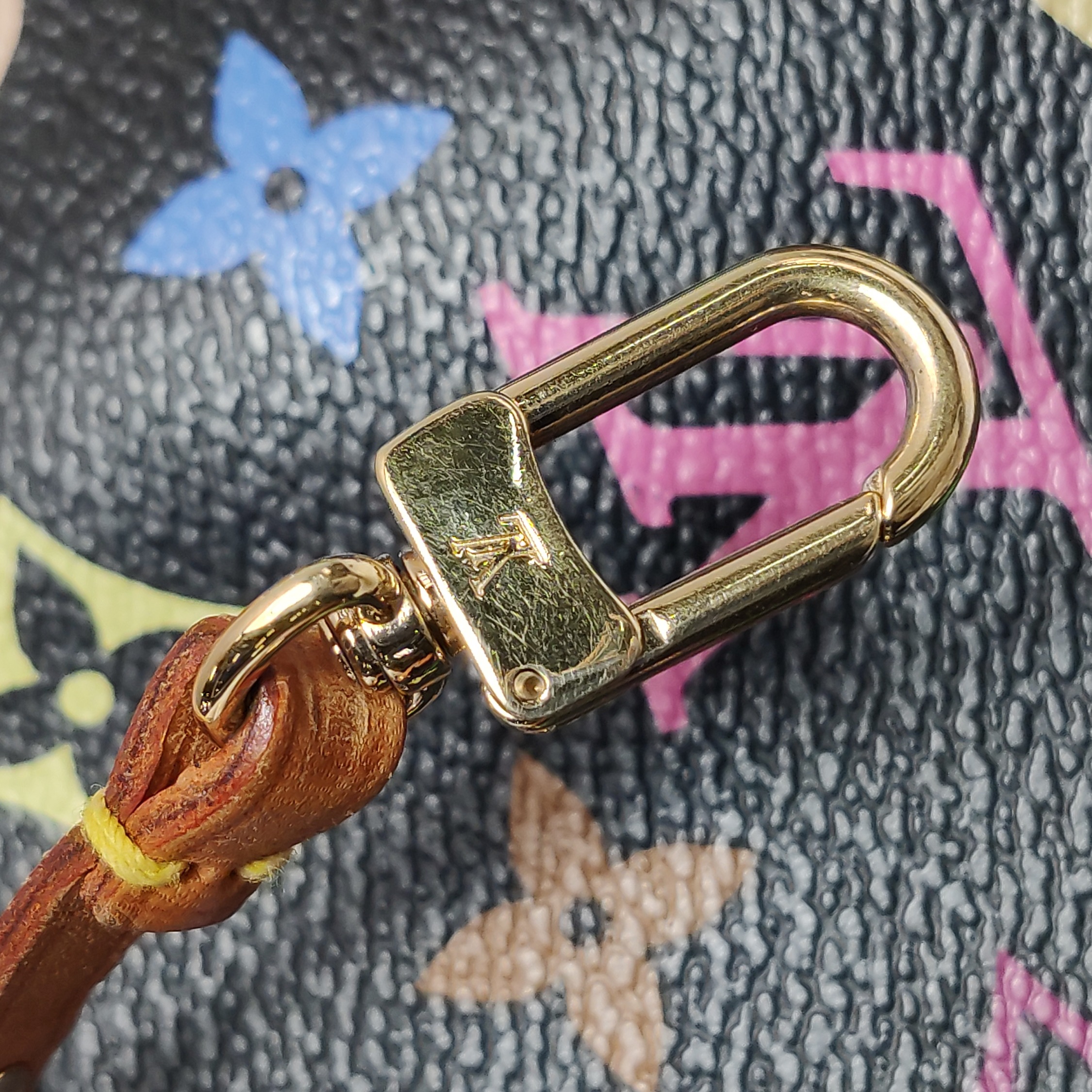Louis Vuitton(LV) Pochette Accessoires Monogram Multicolor — photo 9 of 15