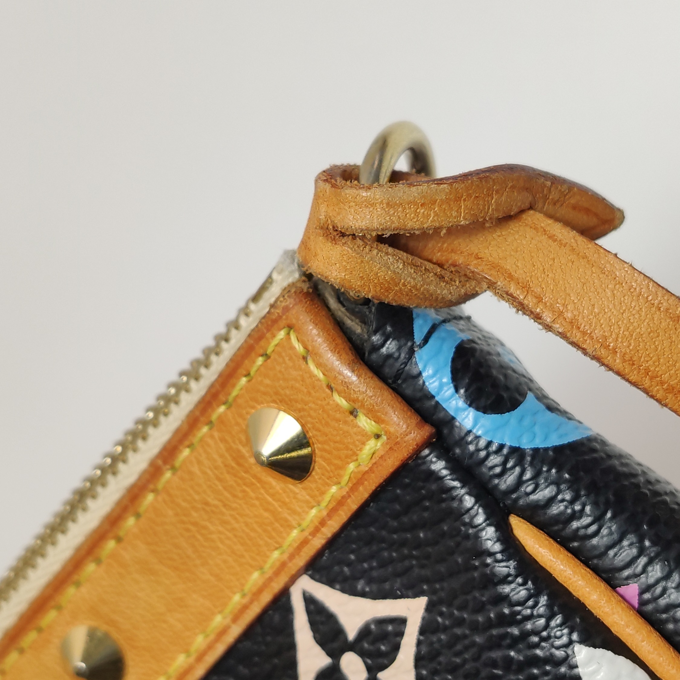 Louis Vuitton(LV) Pochette Accessoires Monogram Multicolor — photo 11 of 15
