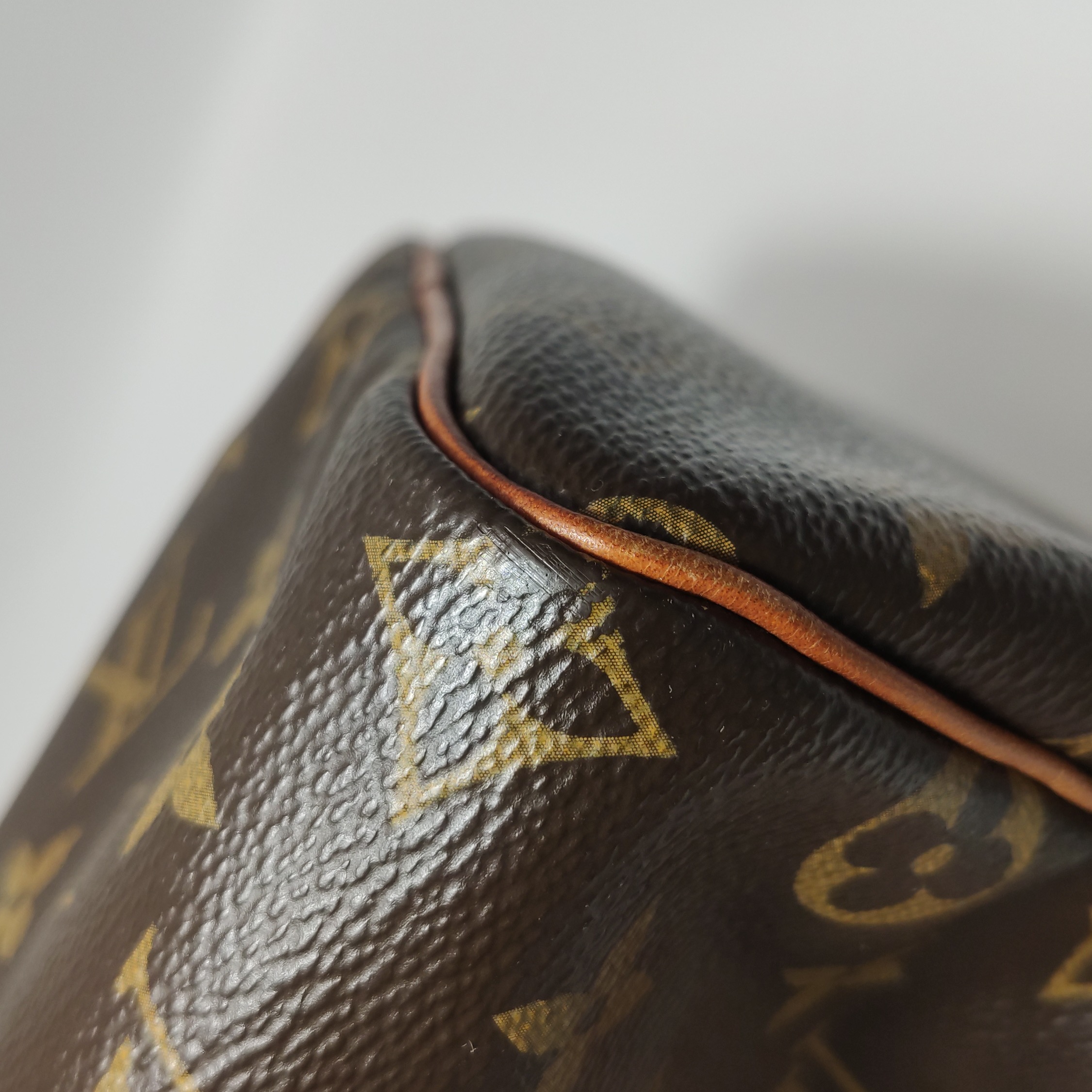 Louis Vuitton(LV) Speedy Handbag Monogram Canvas 25 — photo 12 of 15
