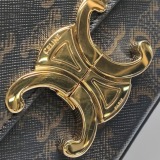 Celine Claude  East-West Shoulder Bag Triomphe Coated Canvas — thumbnail 8
