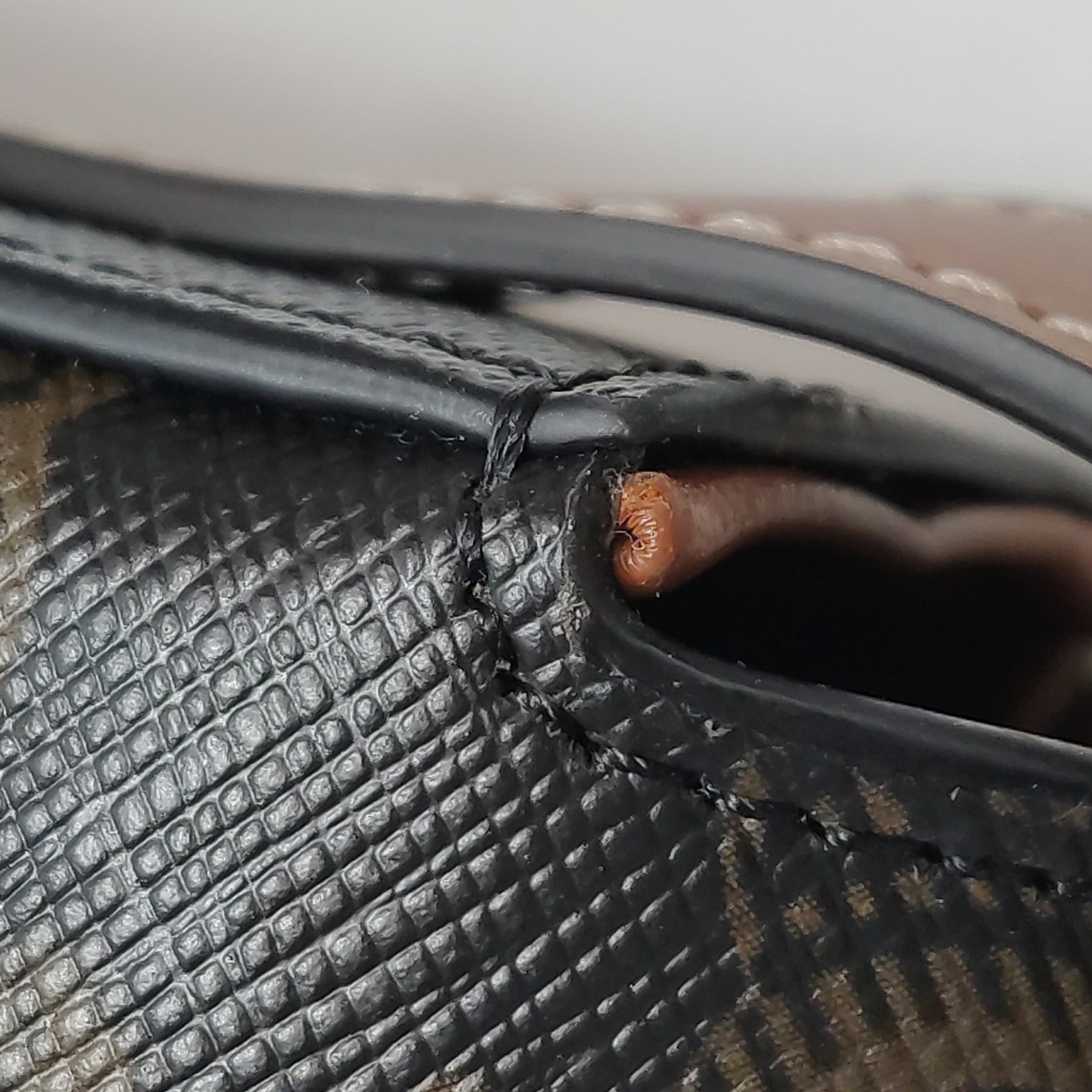 Celine Claude  East-West Shoulder Bag Triomphe Coated Canvas — photo 14 of 14