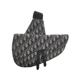 Dior Saddle Crossbody Bag Oblique Canvas — thumbnail 1