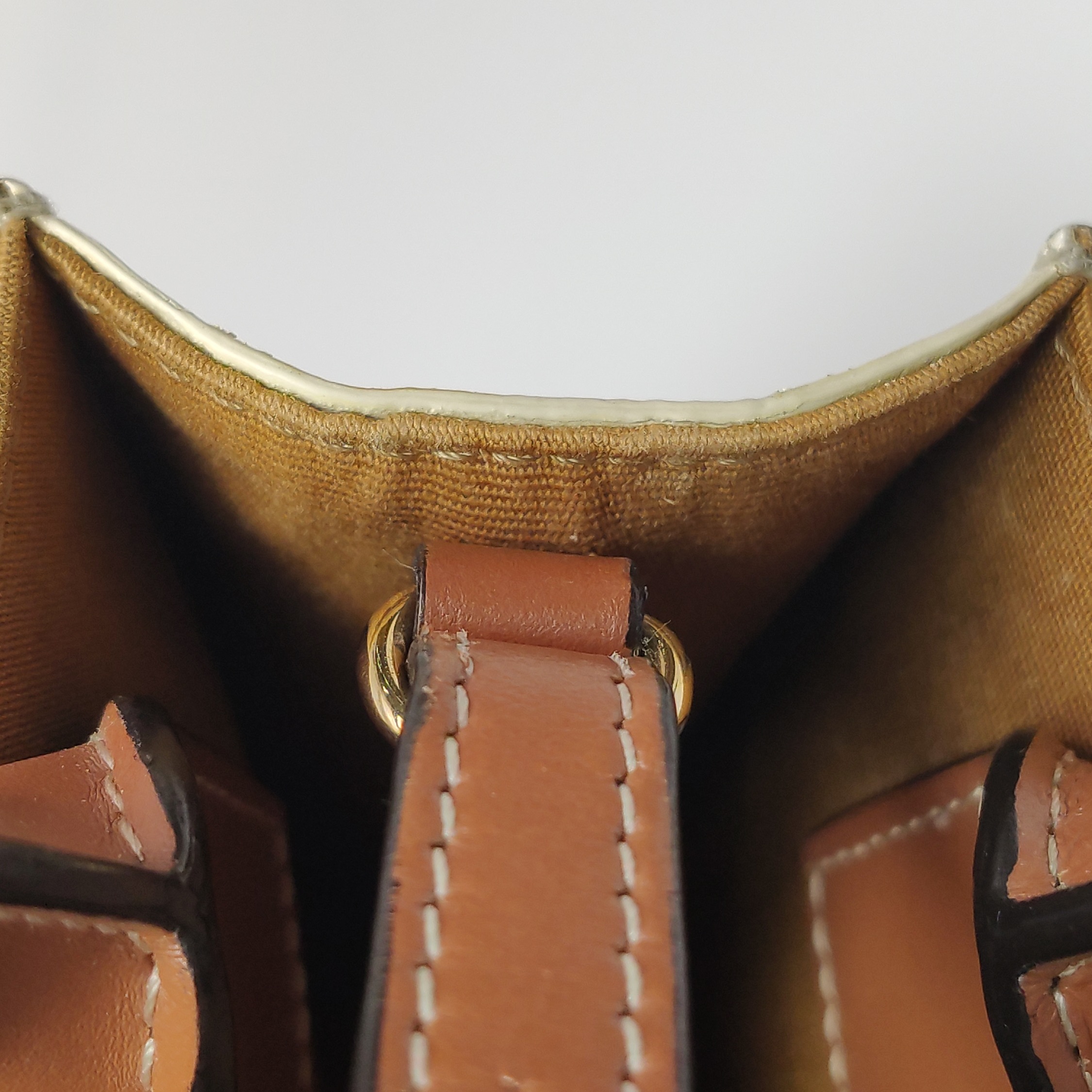 Celine Vertical Cabas Tote Triomphe Coated Canvas Mini — photo 9 of 10