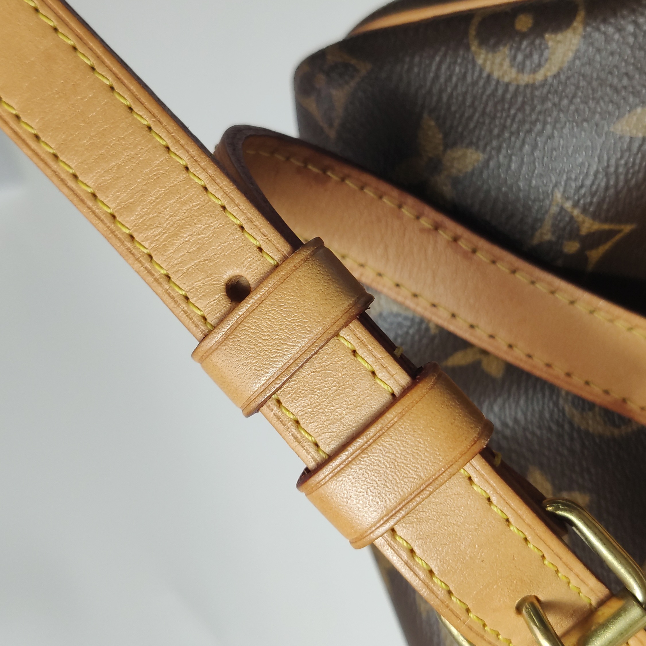 Louis Vuitton(LV) Metis Hobo Monogram Canvas — photo 10 of 13