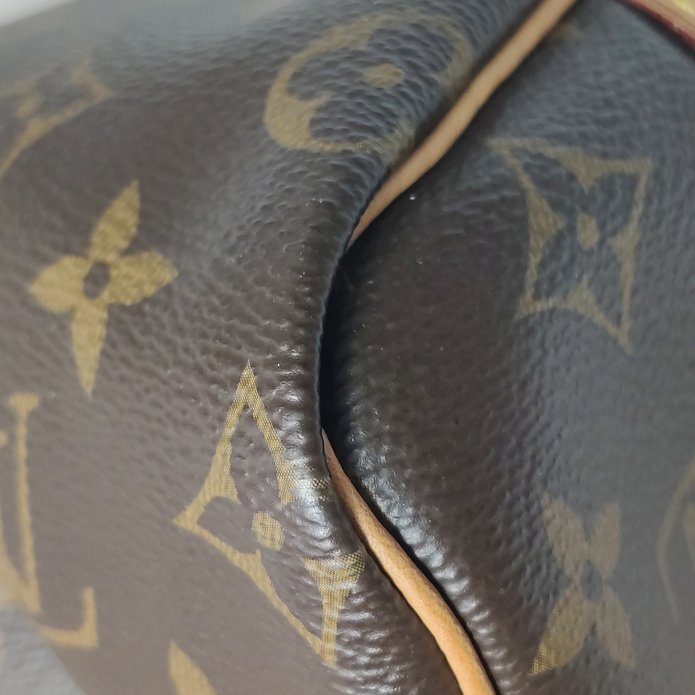 Louis Vuitton(LV) Speedy Bandouliere Bag Monogram Canvas 25