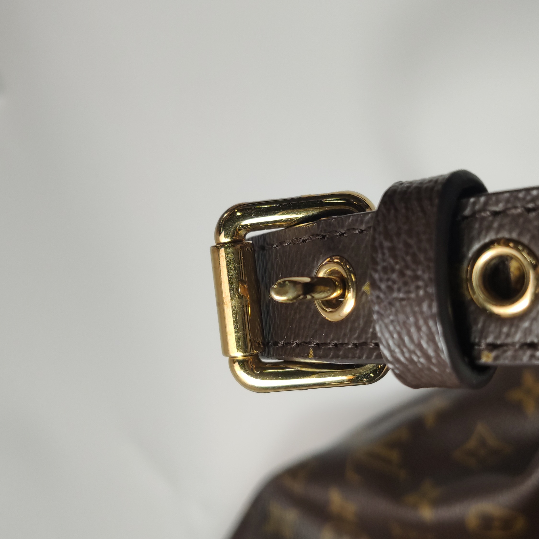 Louis Vuitton(LV) Metis Hobo Monogram Canvas — photo 12 of 13