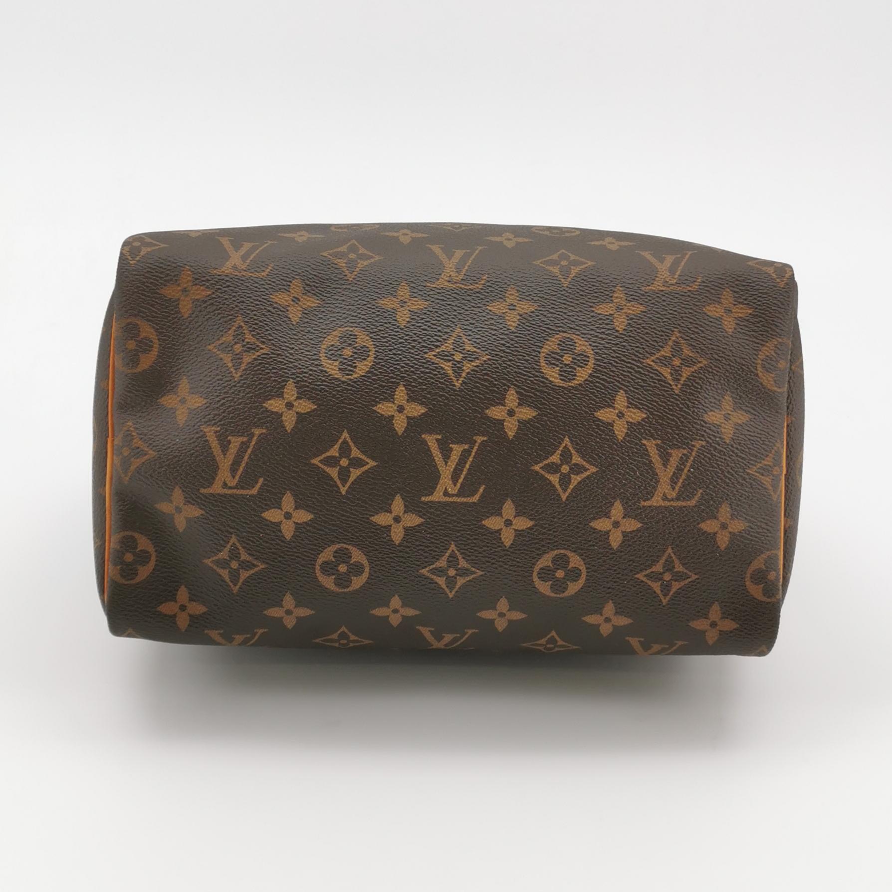 Louis Vuitton(LV) Speedy Handbag Monogram Canvas 25 — photo 6 of 15