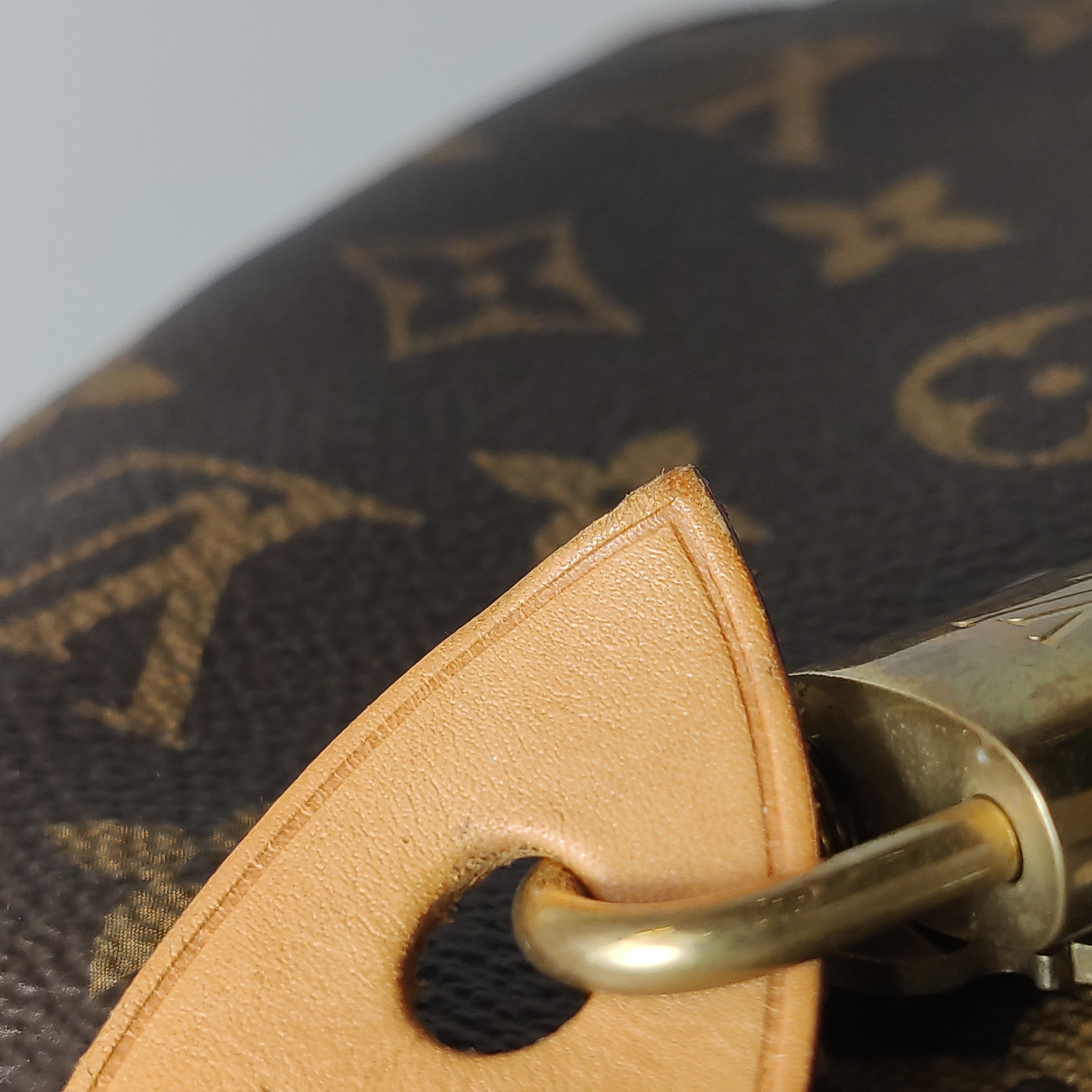 Louis Vuitton(LV) Speedy Handbag Monogram Canvas 25 — photo 9 of 15