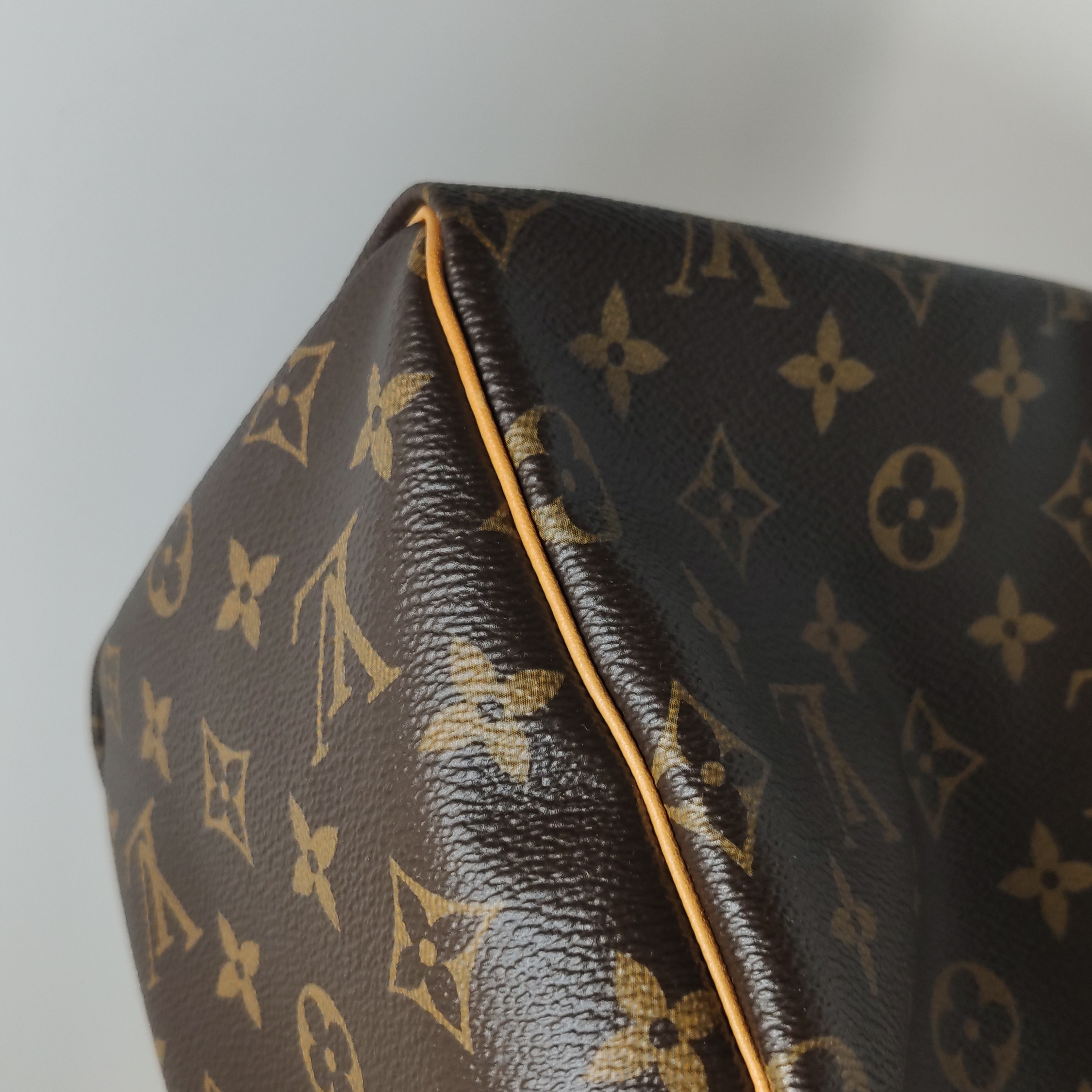 Louis Vuitton(LV) Speedy Handbag Monogram Canvas 25 — photo 15 of 15
