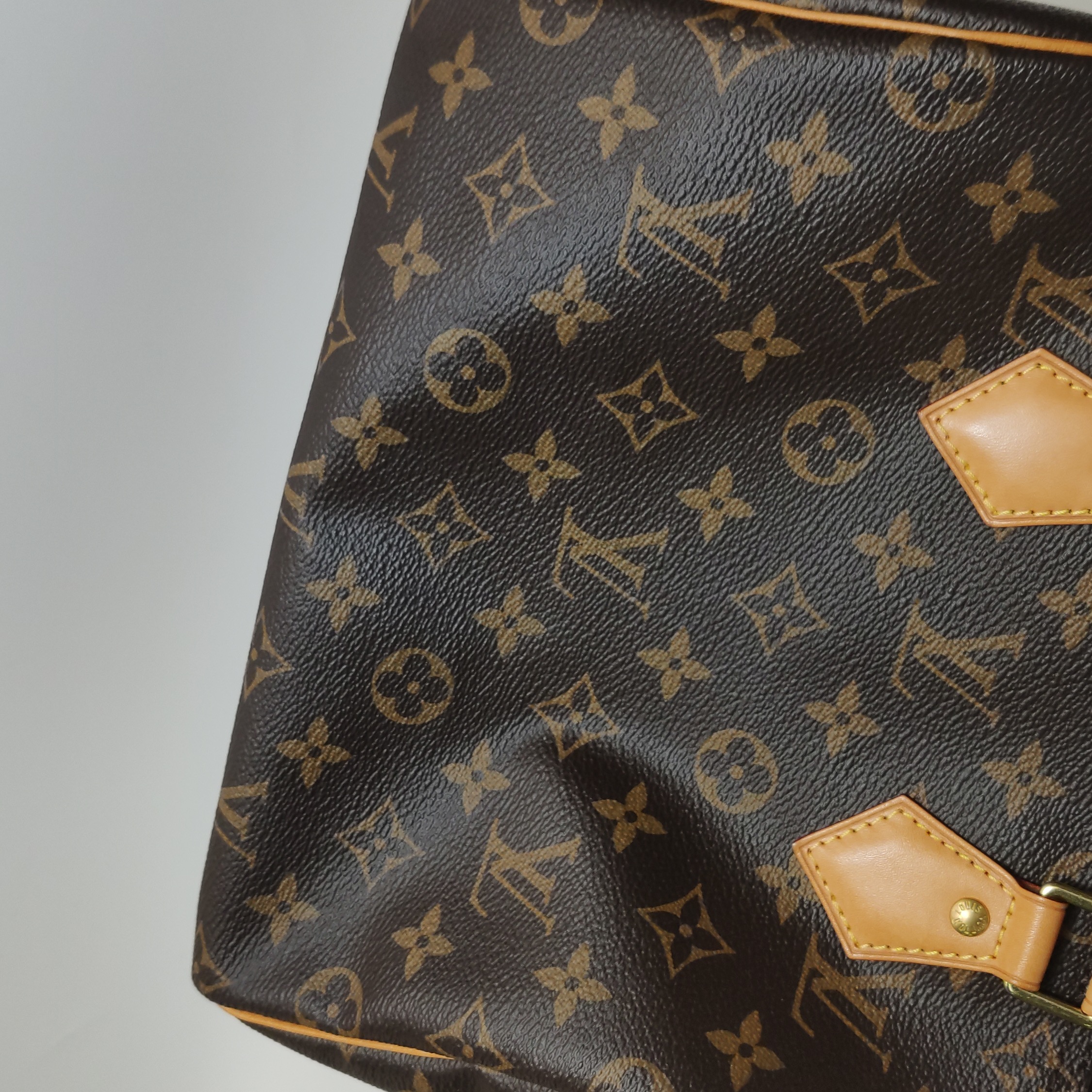 Louis Vuitton(LV) Speedy Handbag Monogram Canvas 25 — photo 13 of 15