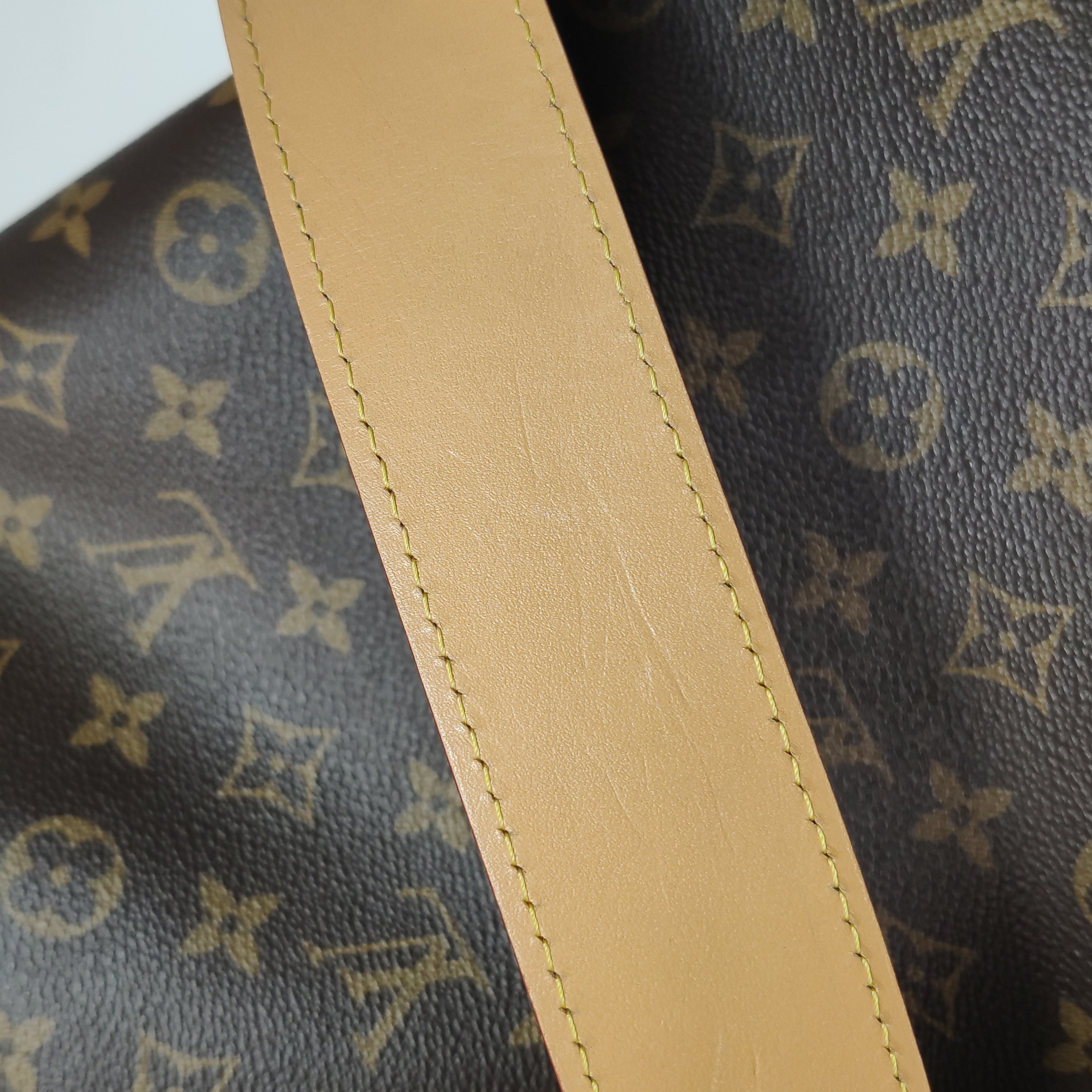 Louis Vuitton(LV) CarryAll Hobo Monogram Canvas MM — photo 16 of 16
