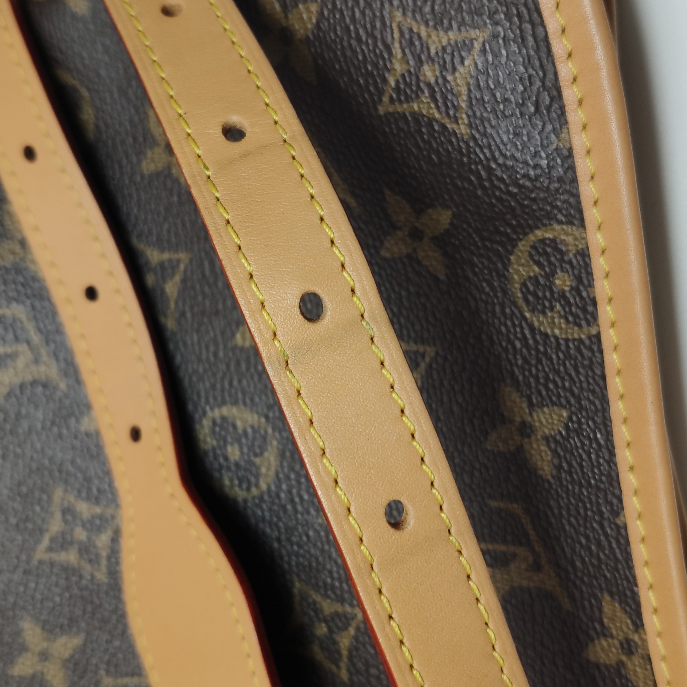 Louis Vuitton(LV) CarryAll Hobo Monogram Canvas MM — photo 13 of 16