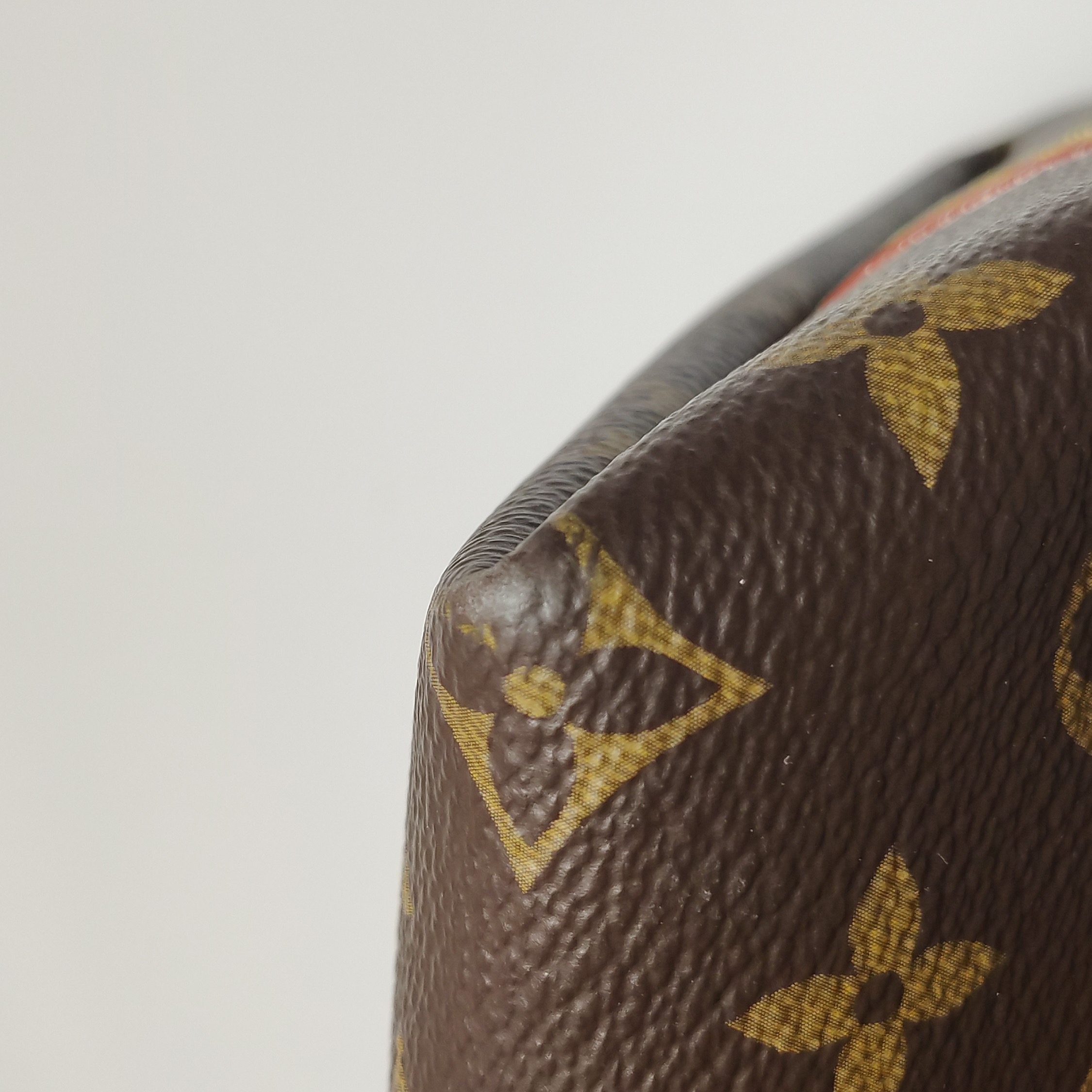 Louis Vuitton(LV) CarryAll Hobo Monogram Canvas MM — photo 15 of 16