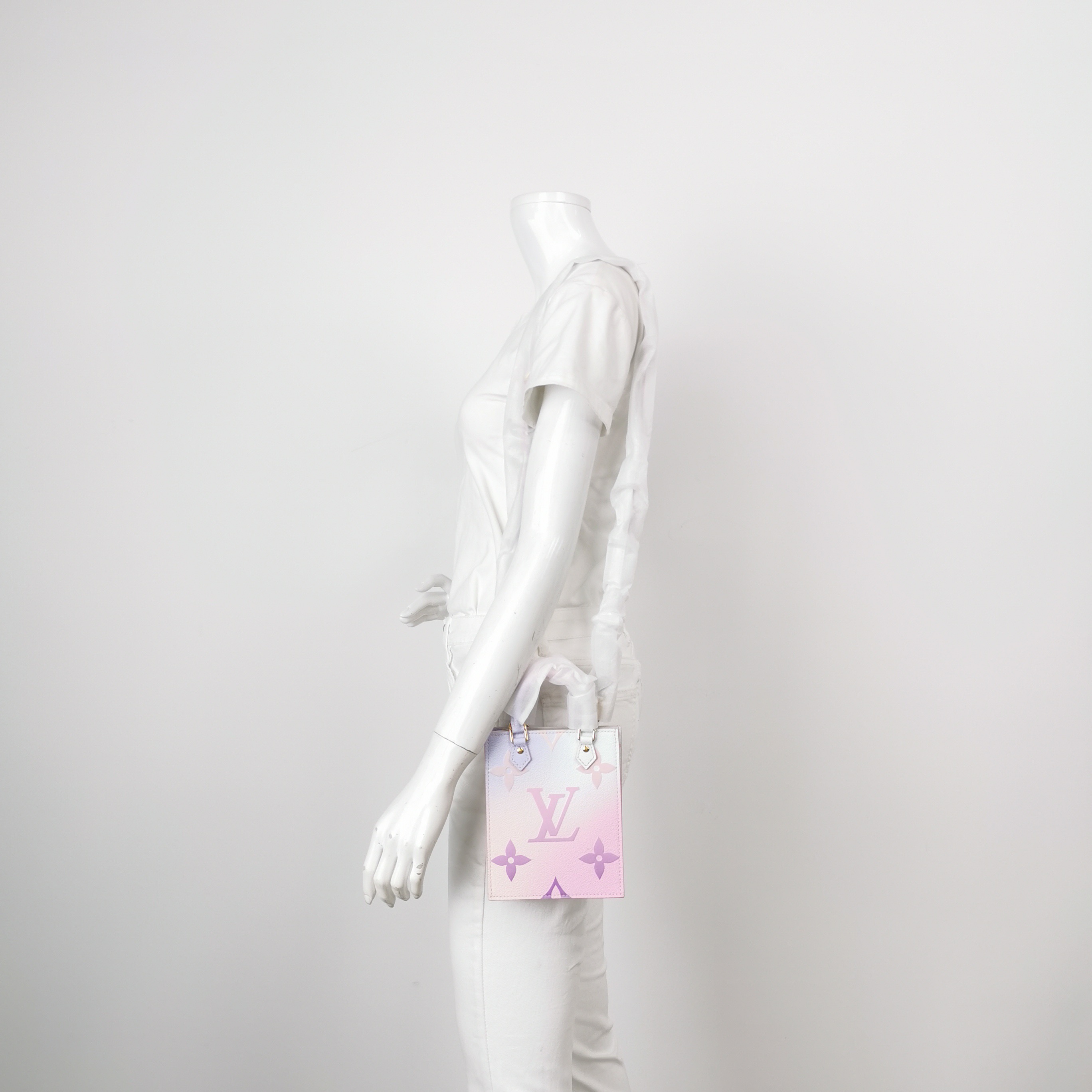 Louis Vuitton(LV) Petit Sac Plat Bag Spring in the City Monogram Giant Canvas — alternate view