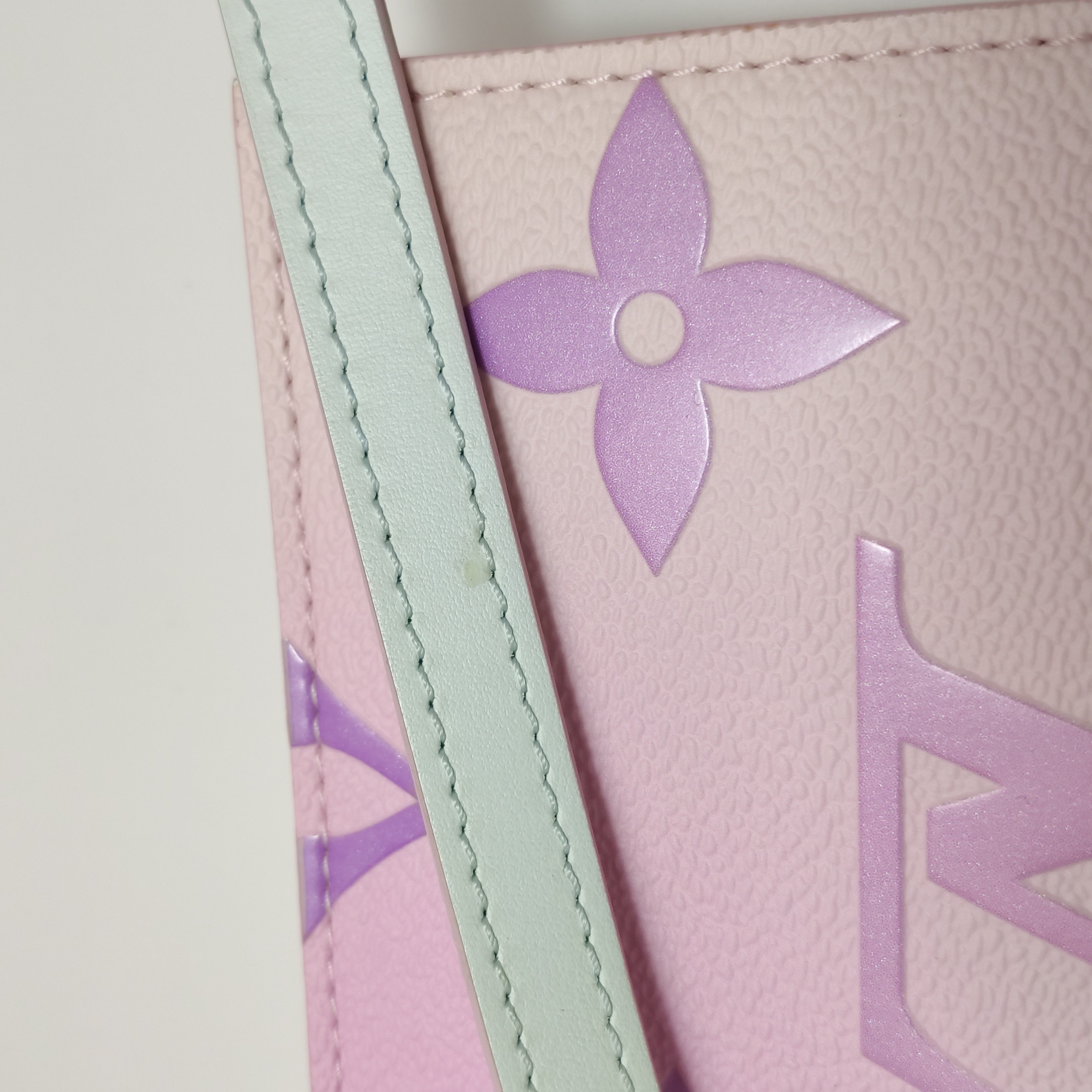Louis Vuitton(LV) Petit Sac Plat Bag Spring in the City Monogram Giant Canvas — photo 12 of 16