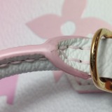 Louis Vuitton(LV) Petit Sac Plat Bag Spring in the City Monogram Giant Canvas — thumbnail 9