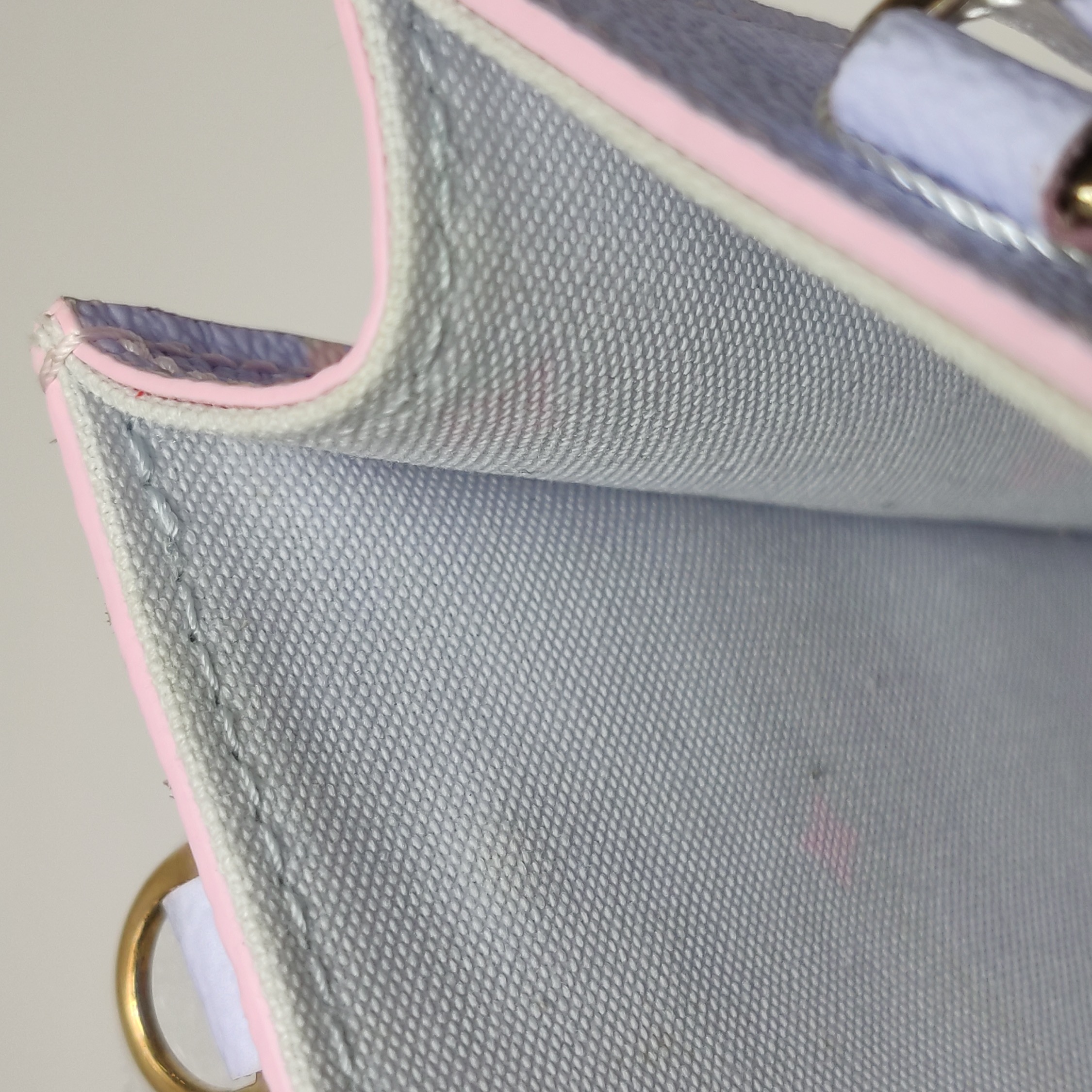 Louis Vuitton(LV) Petit Sac Plat Bag Spring in the City Monogram Giant Canvas — photo 16 of 16