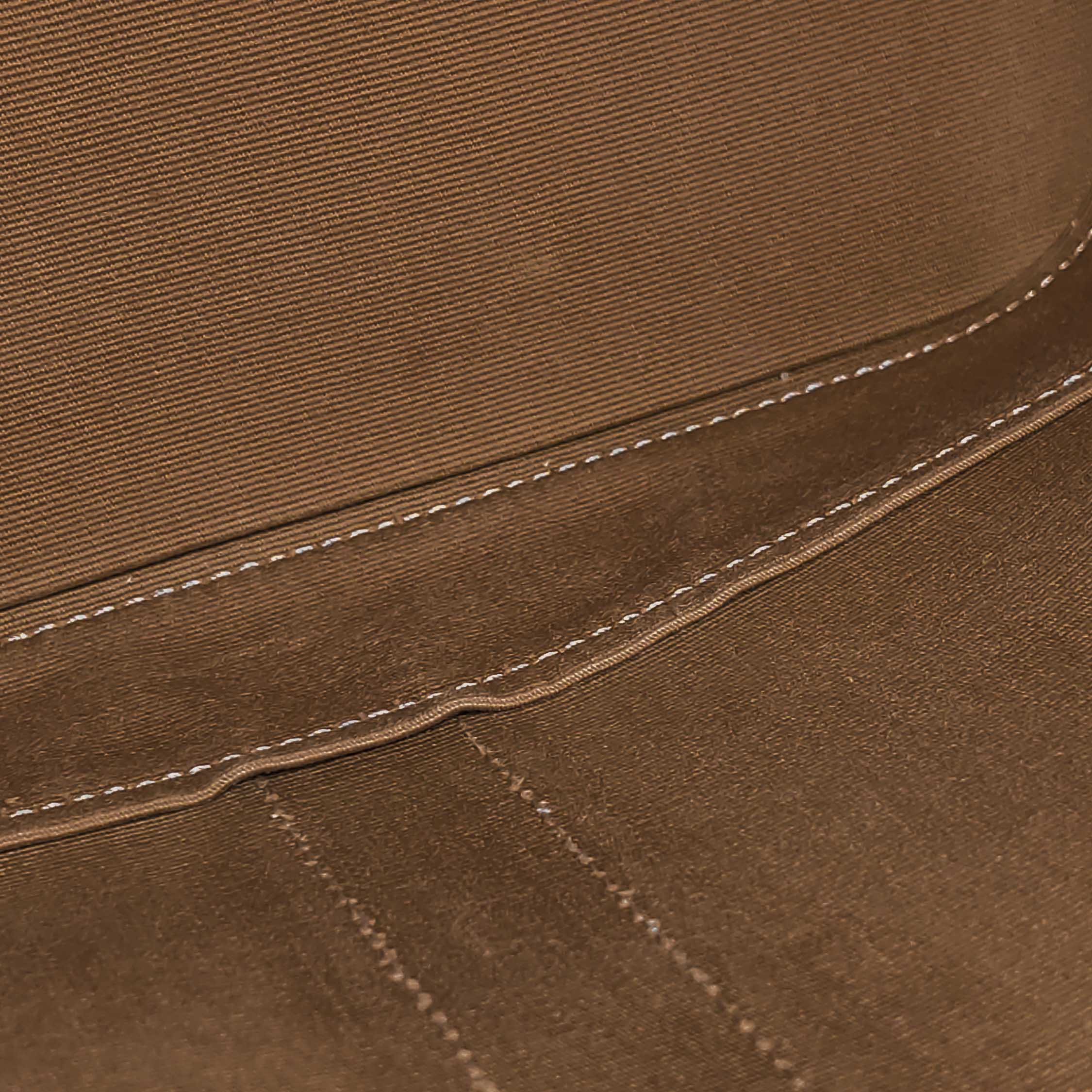 Celine Bucket Bag Triomphe Coated Canvas Medium — photo 14 of 16