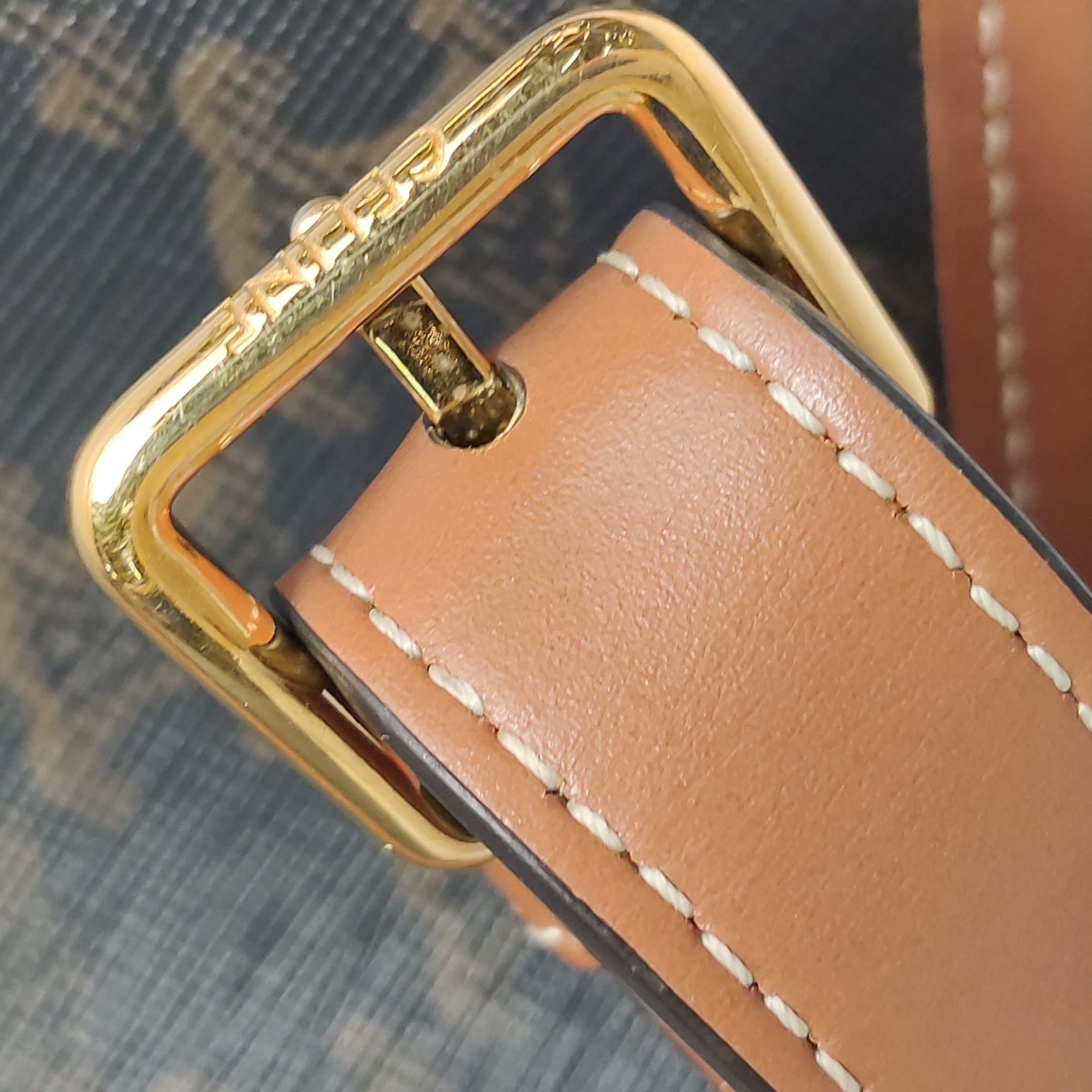 Celine Bucket Bag Triomphe Coated Canvas Medium — photo 11 of 16