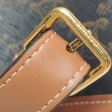 Celine Bucket Bag Triomphe Coated Canvas Medium — thumbnail 11