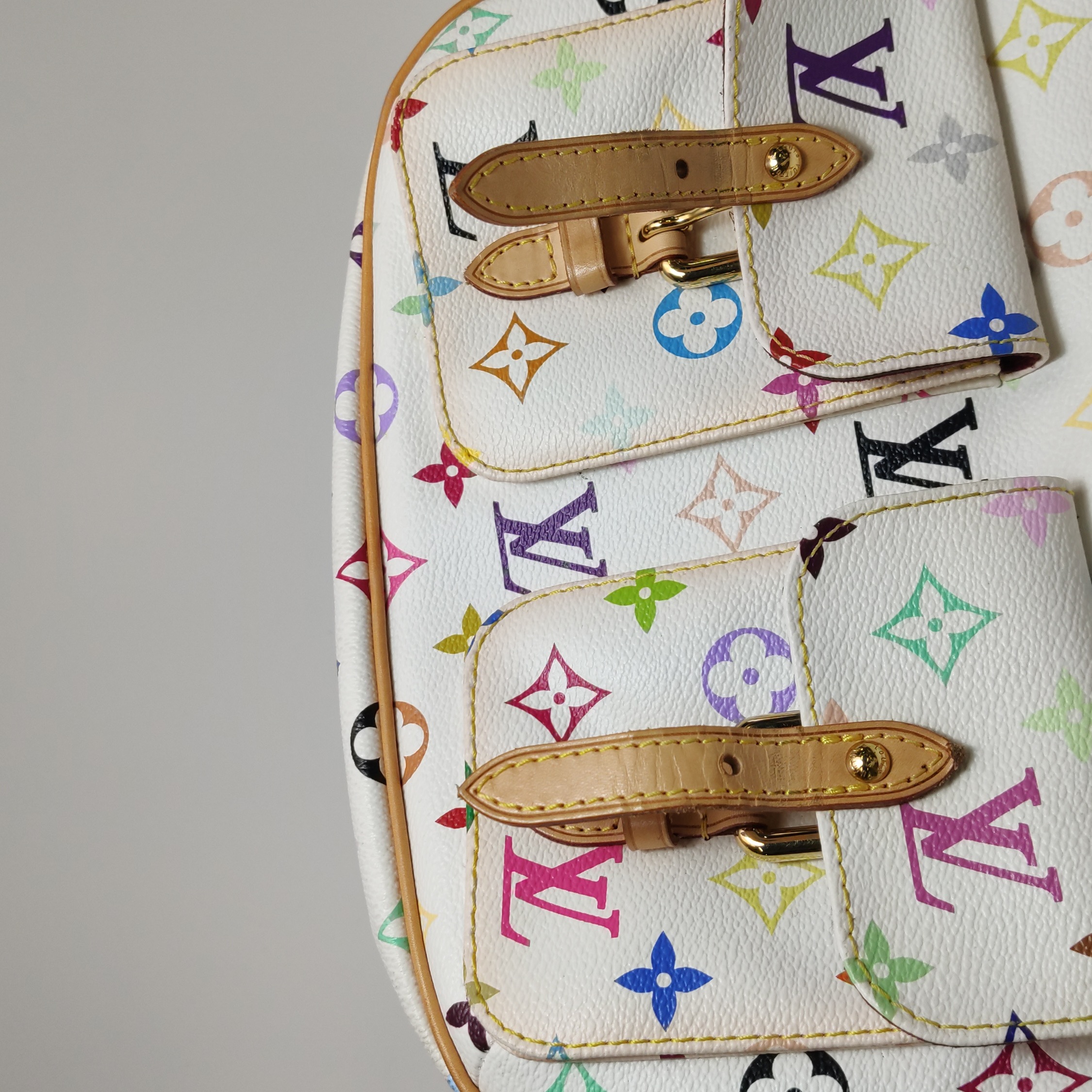 Louis Vuitton(LV) Lodge Handbag Monogram Multicolor PM — photo 8 of 18