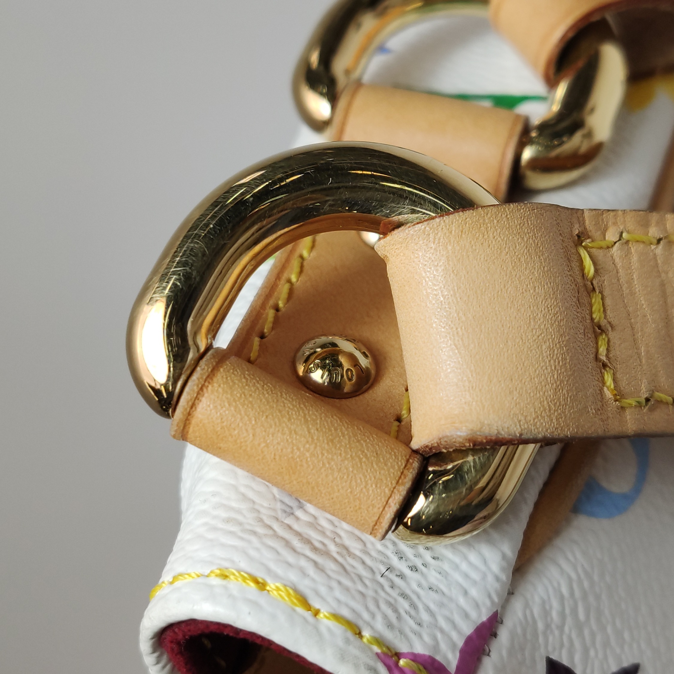 Louis Vuitton(LV) Lodge Handbag Monogram Multicolor PM — photo 15 of 18
