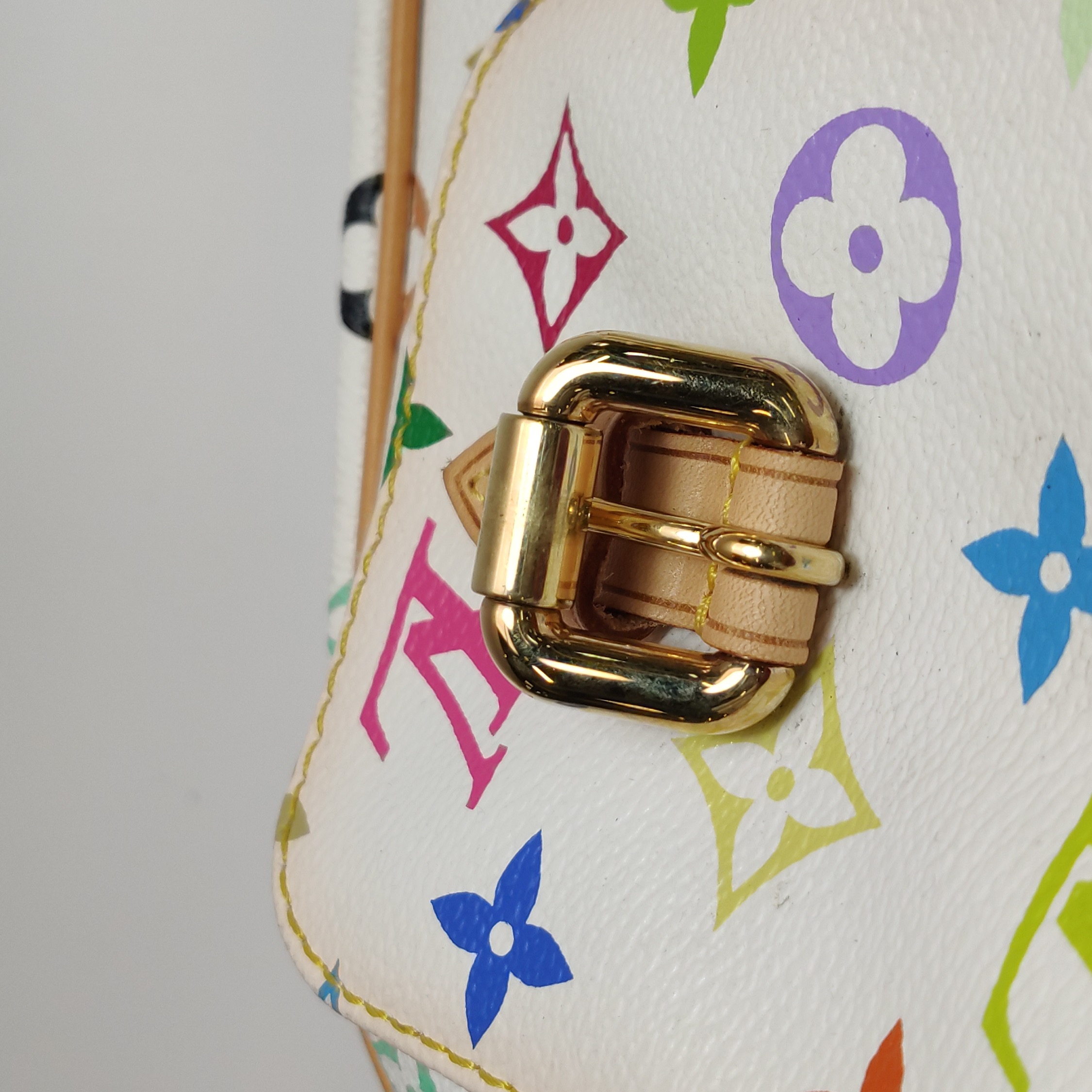 Louis Vuitton(LV) Lodge Handbag Monogram Multicolor PM — photo 14 of 18