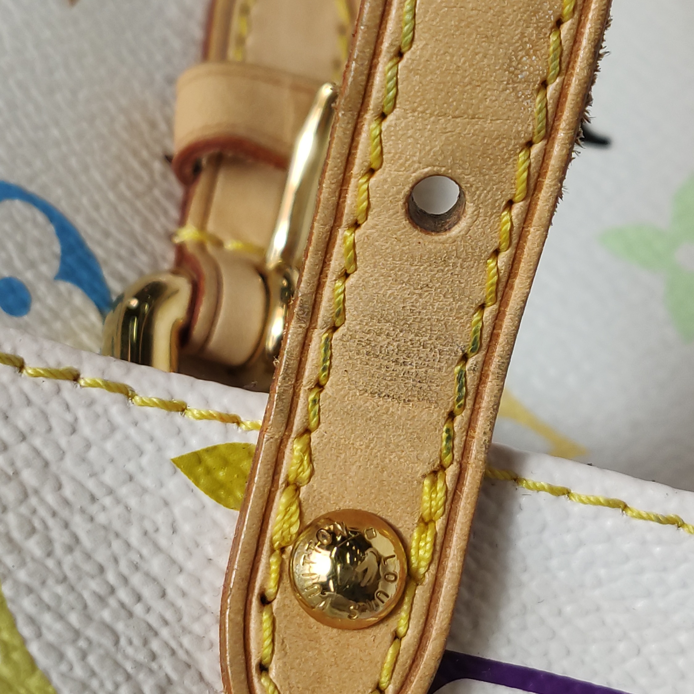 Louis Vuitton(LV) Lodge Handbag Monogram Multicolor PM — photo 17 of 18