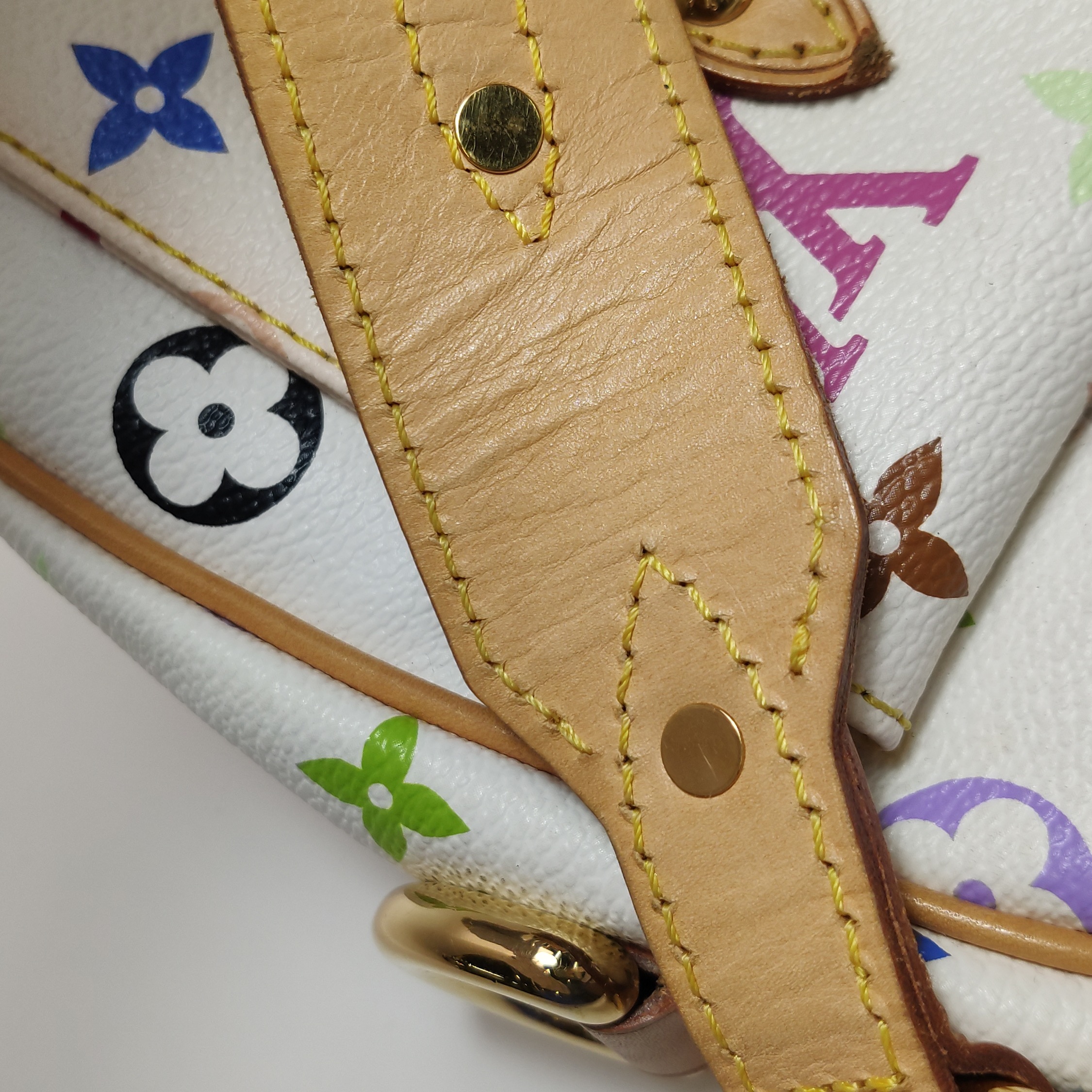 Louis Vuitton(LV) Lodge Handbag Monogram Multicolor PM — photo 18 of 18