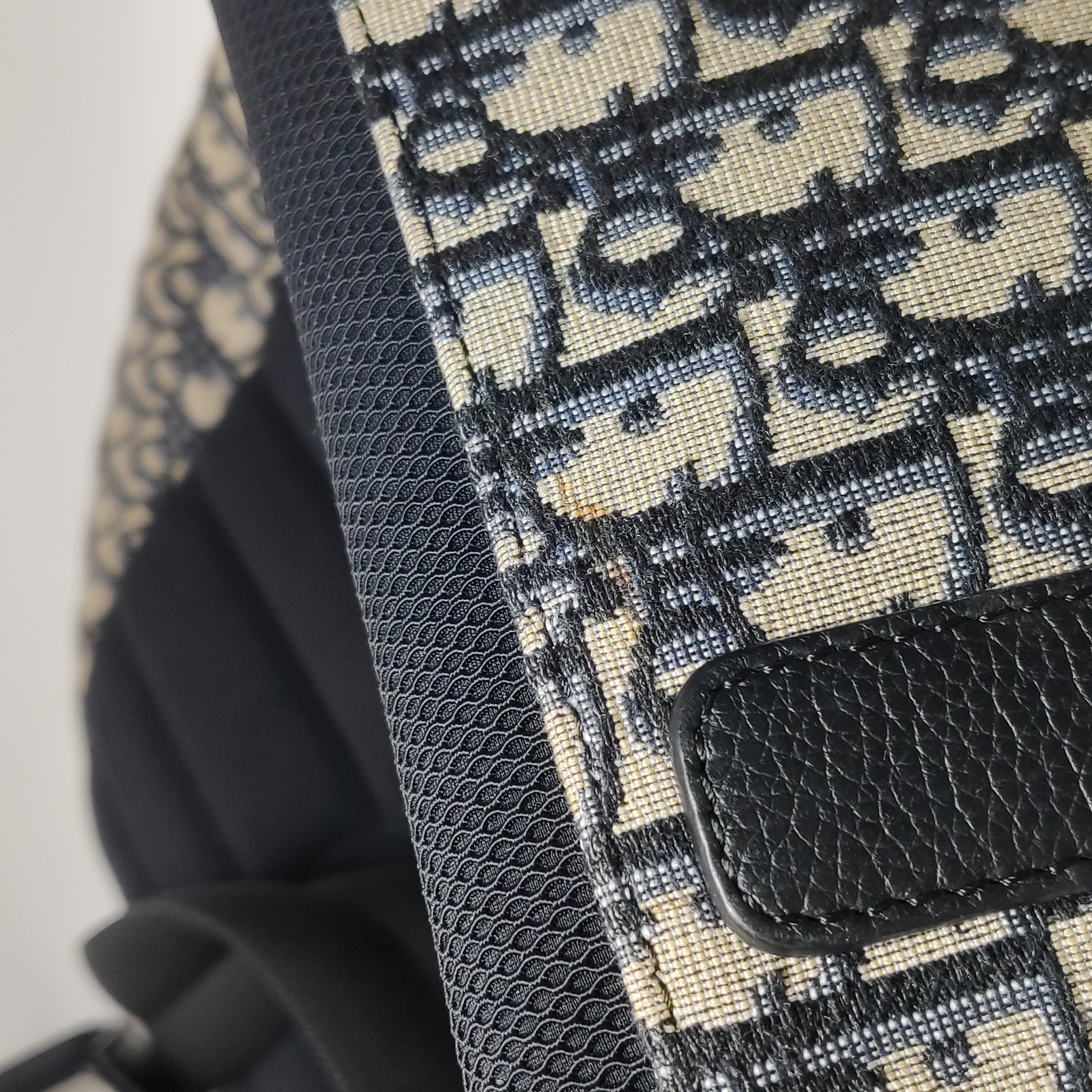 Christian Dior Rider Backpack Oblique Canvas Small — photo 9 of 11