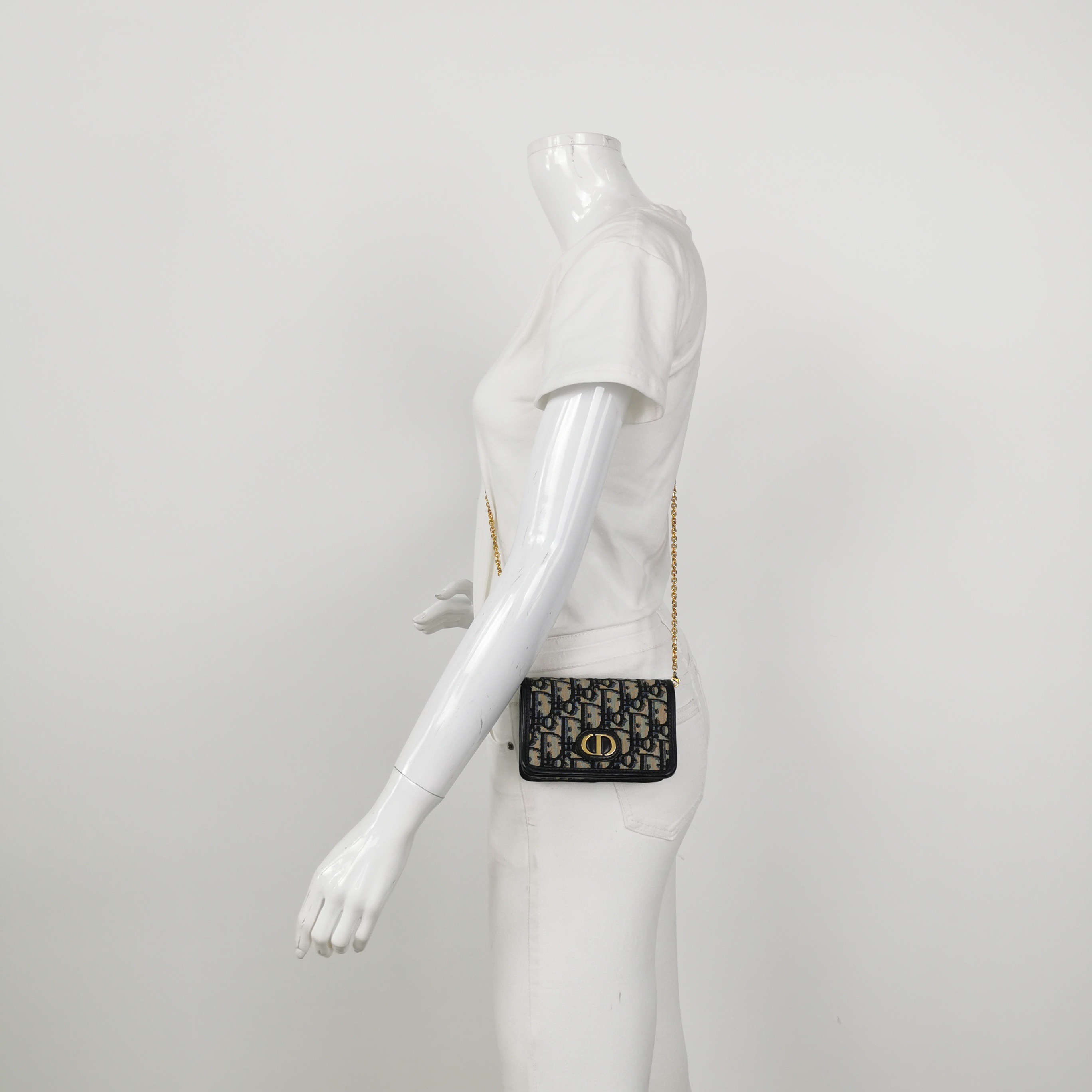 Dior 30 Montaigne Nano Convertible Belt Pouch Oblique Canvasv — alternate view