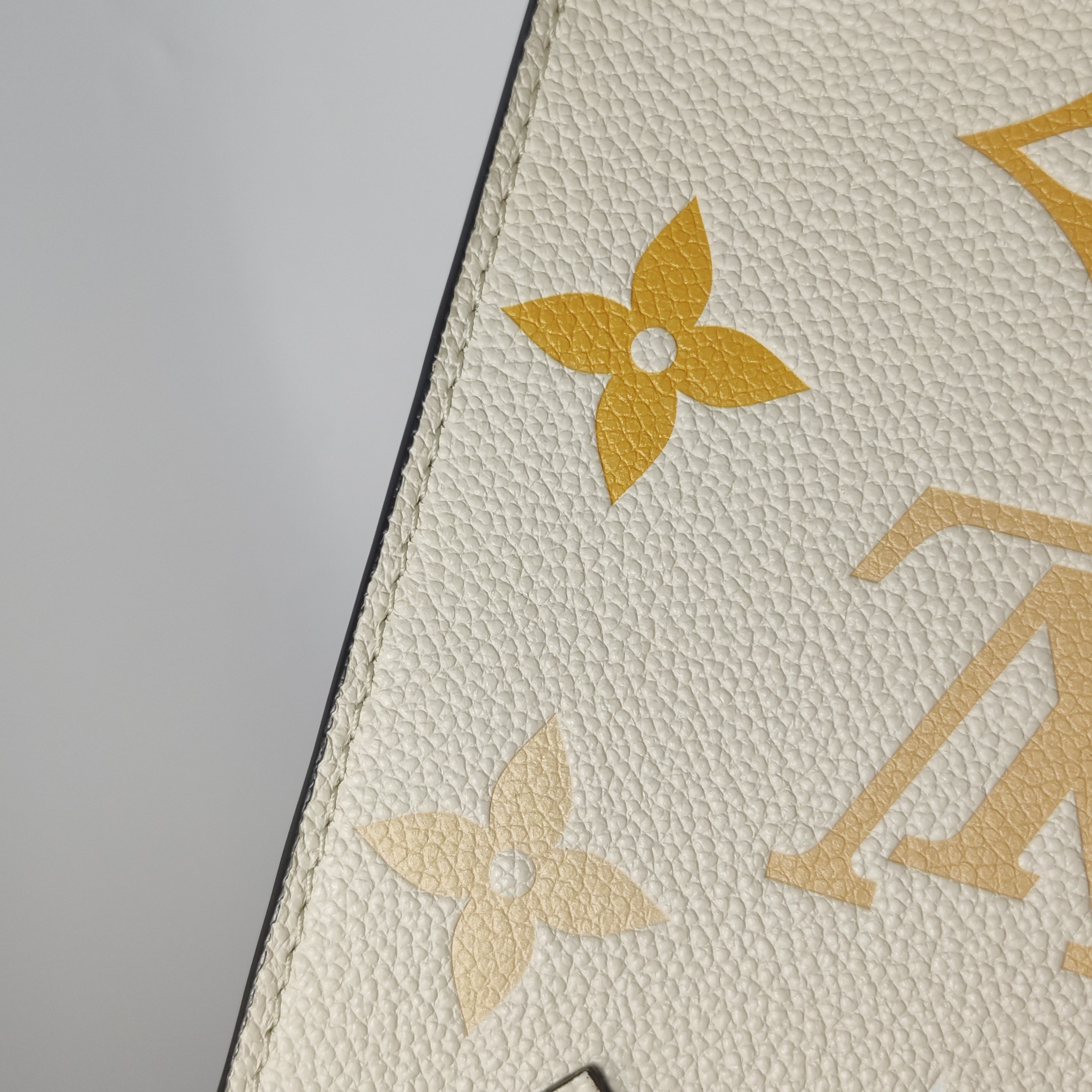 Louis Vuitton(LV) Petit Sac Plat Bag By The Pool Monogram Empreinte Giant — photo 19 of 25