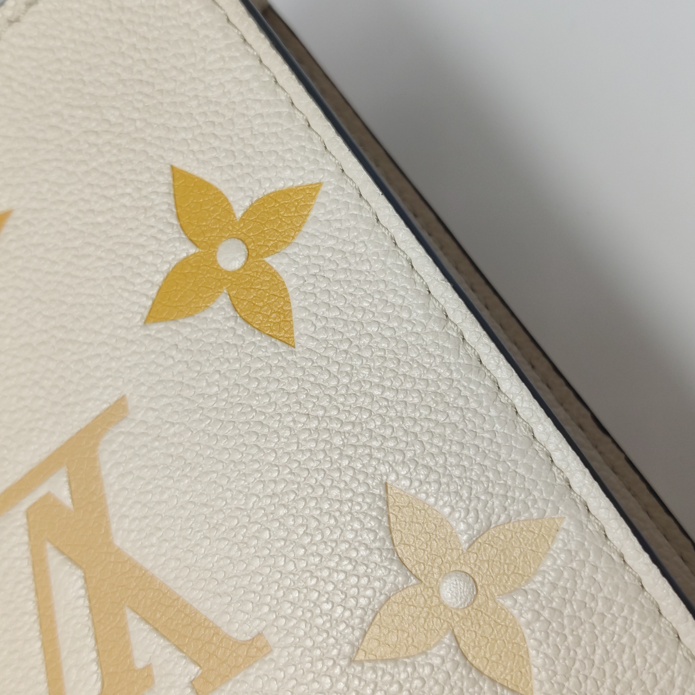Louis Vuitton(LV) Petit Sac Plat Bag By The Pool Monogram Empreinte Giant — photo 21 of 25