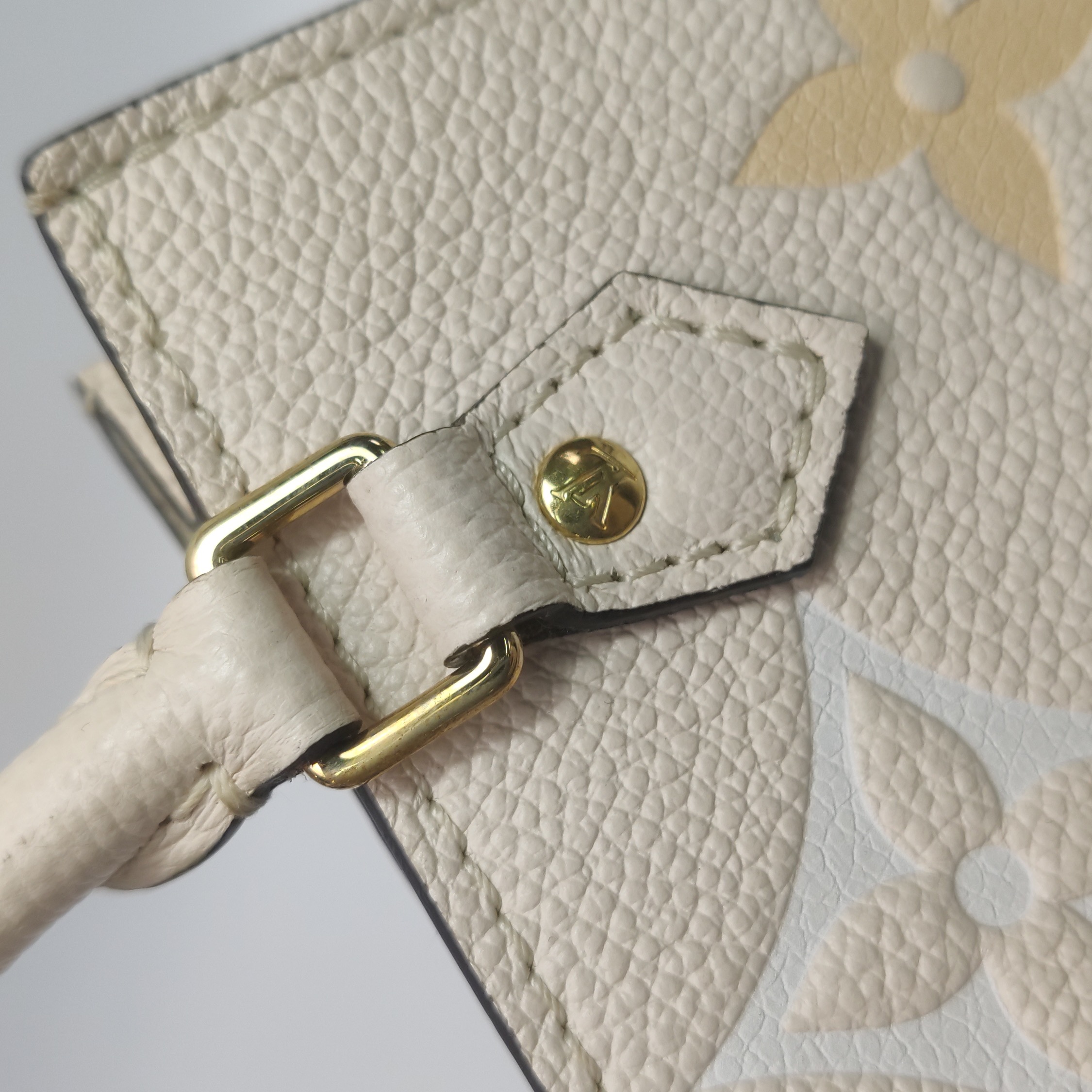 Louis Vuitton(LV) Petit Sac Plat Bag By The Pool Monogram Empreinte Giant — photo 15 of 15