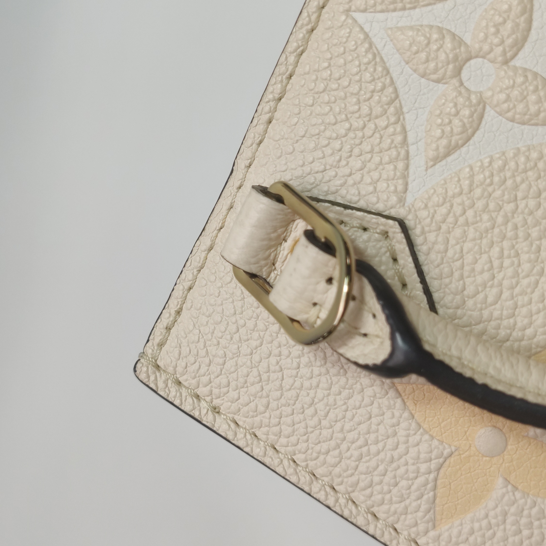 Louis Vuitton(LV) Petit Sac Plat Bag By The Pool Monogram Empreinte Giant — photo 14 of 15