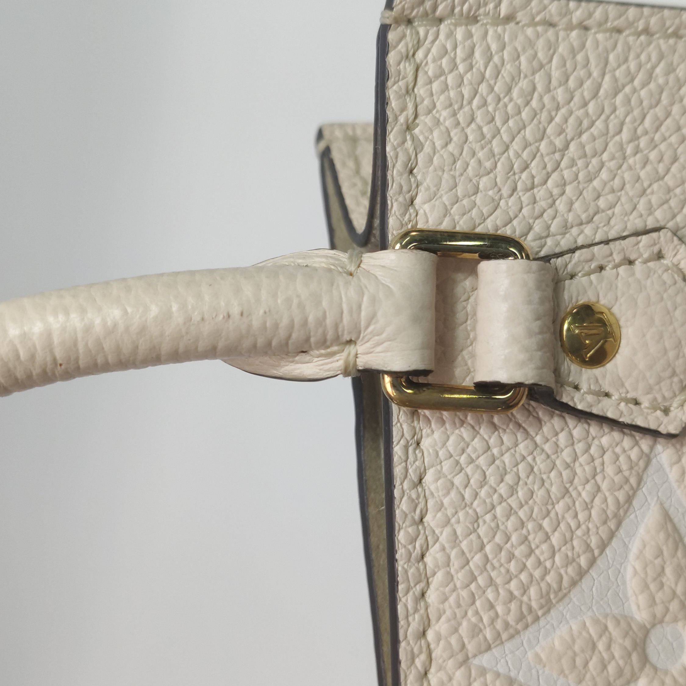 Louis Vuitton(LV) Petit Sac Plat Bag By The Pool Monogram Empreinte Giant — photo 13 of 15
