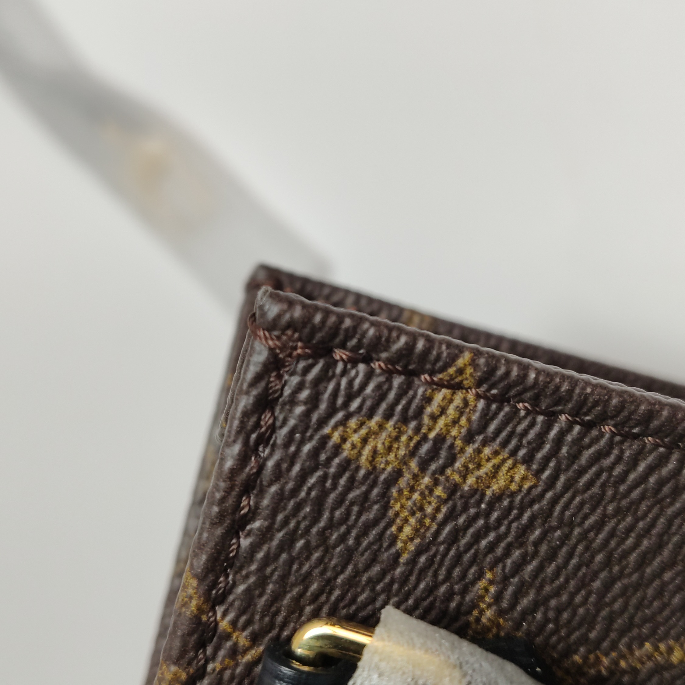 Louis Vuitton(LV) Petit Sac Plat Bag Limited Edition Fall in Love Monogram Canvas — photo 13 of 15