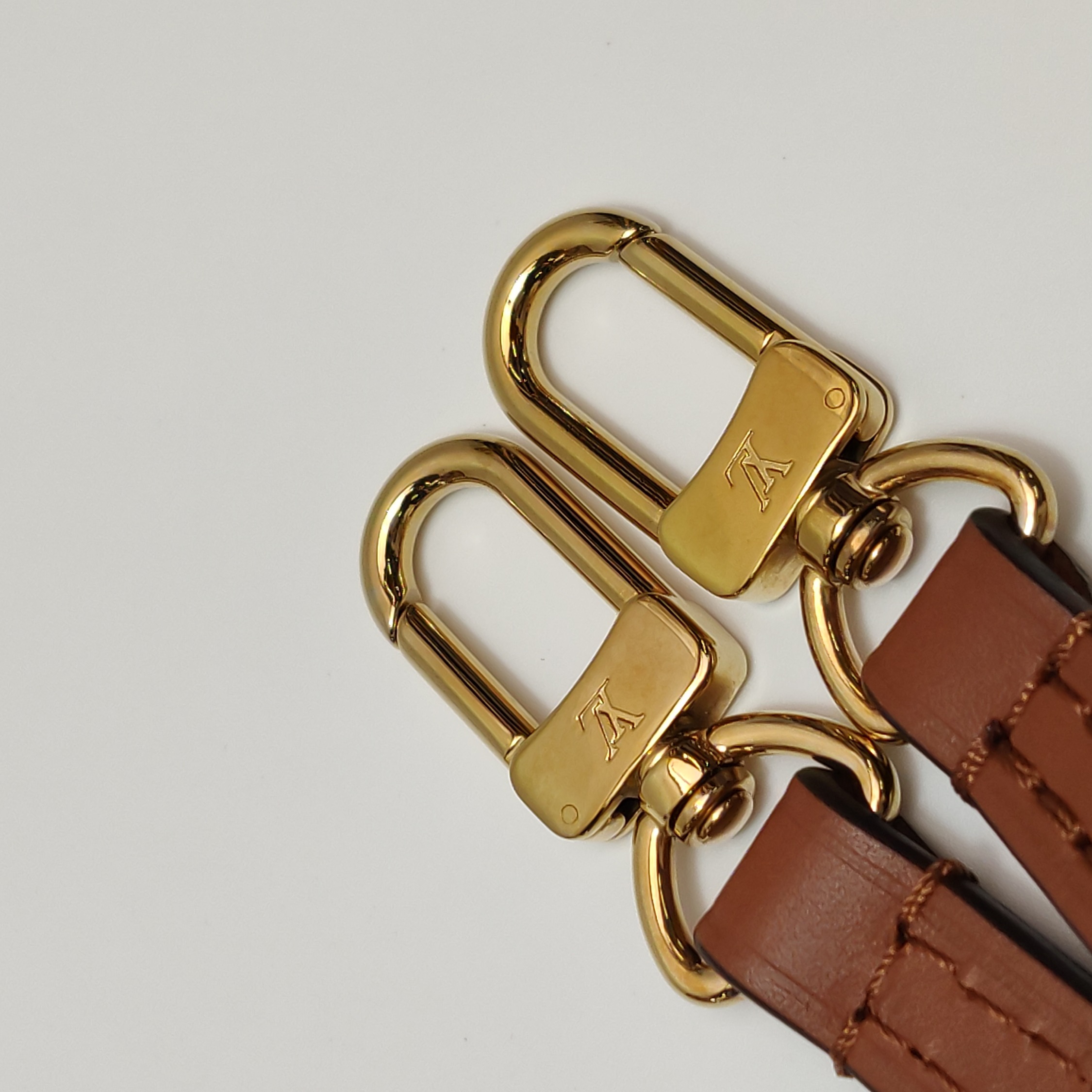 Louis Vuitton(LV) Petit Sac Plat Bag Limited Edition Since 1854 Monogram Jacquard — photo 14 of 16