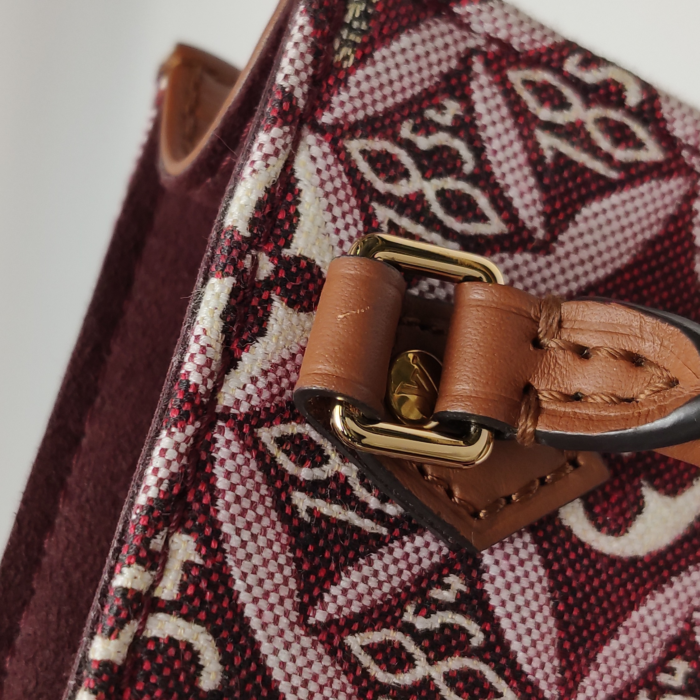 Louis Vuitton(LV) Petit Sac Plat Bag Limited Edition Since 1854 Monogram Jacquard — photo 11 of 16